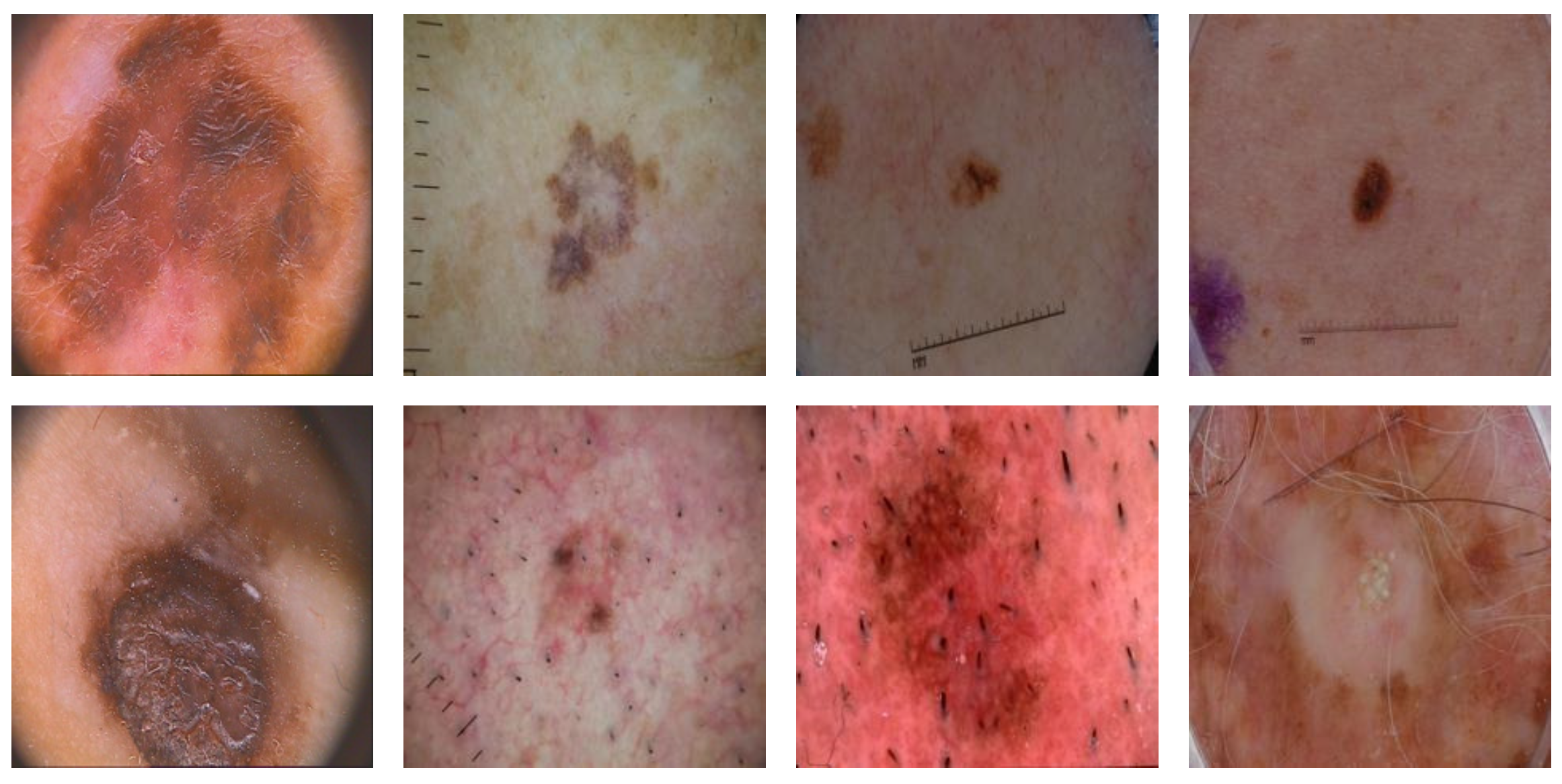 Diagnostics 12 02625 g001 Diagnostics 12 02625 g001