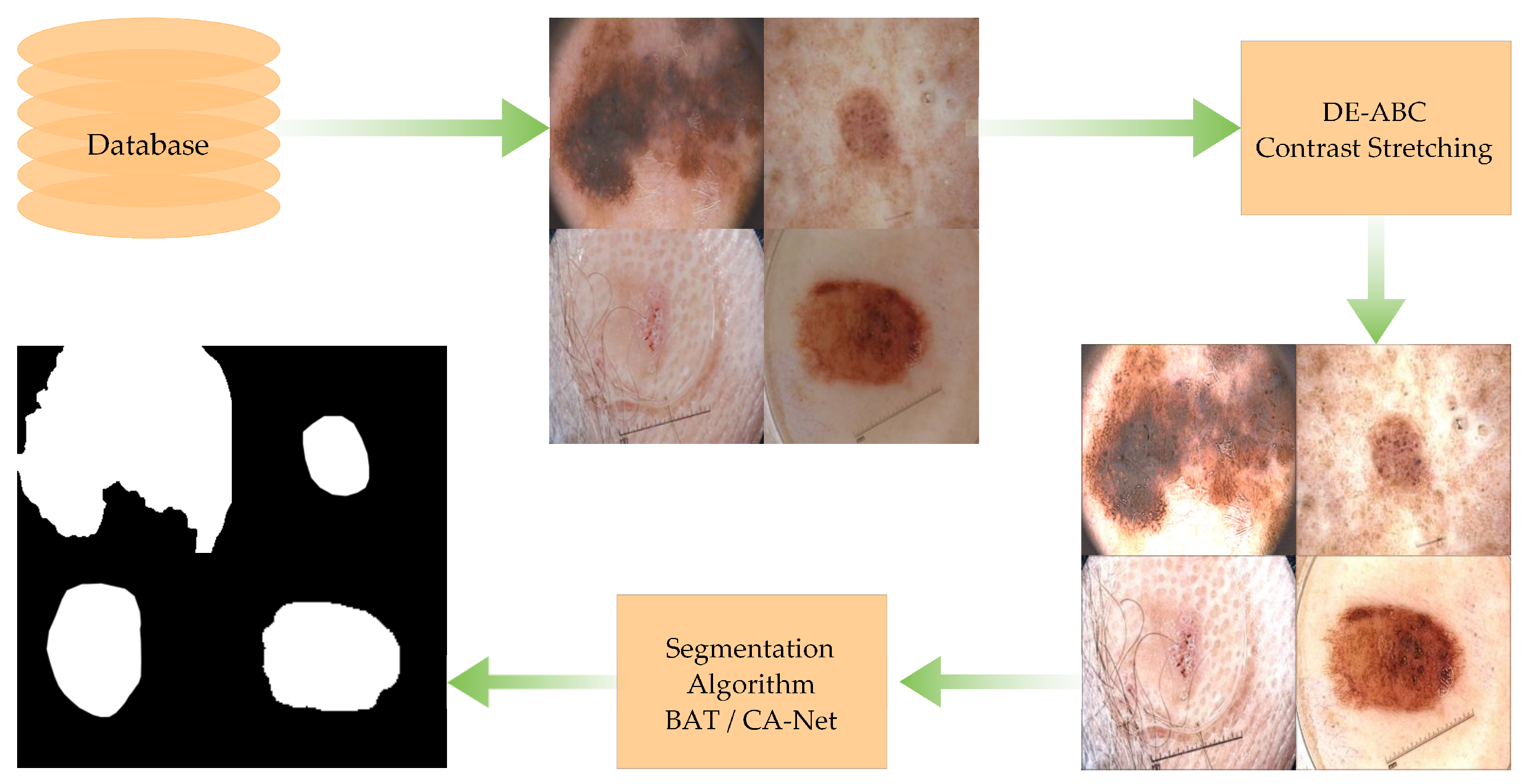 Diagnostics 12 02625 g002 Diagnostics 12 02625 g002