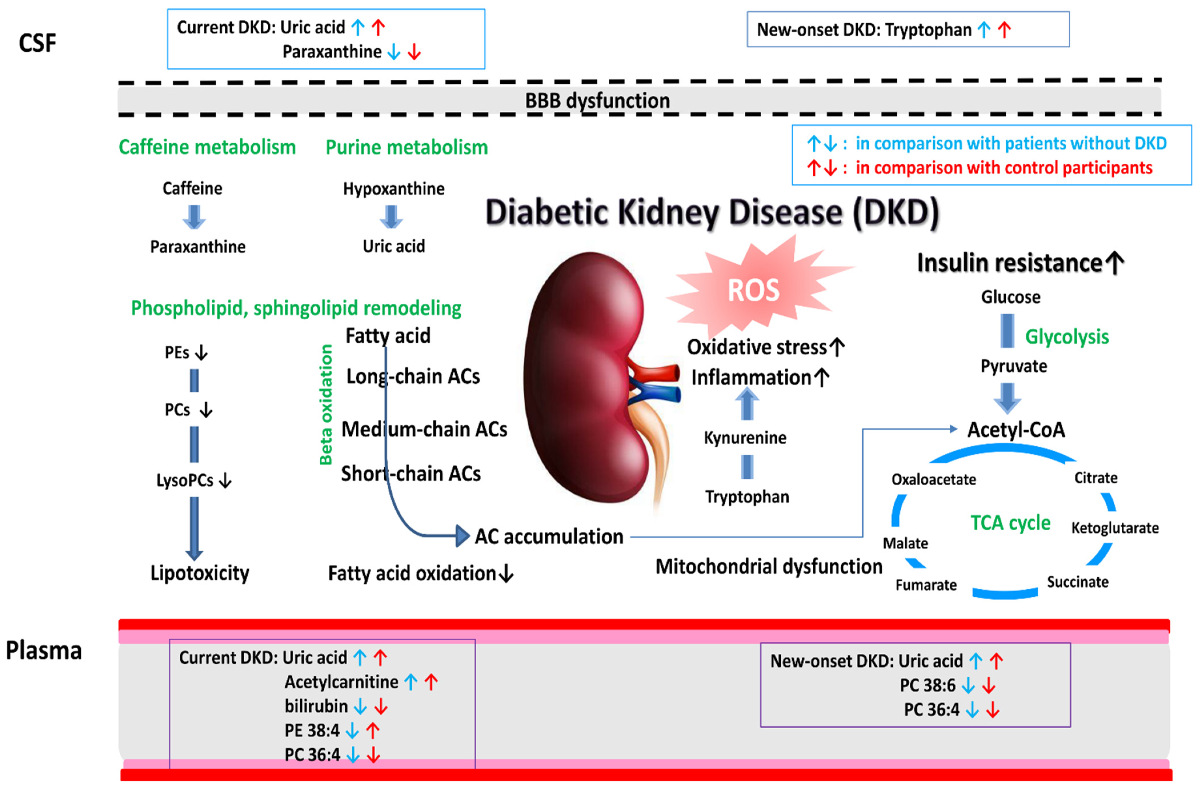 Diagnostics 12 02626 g005