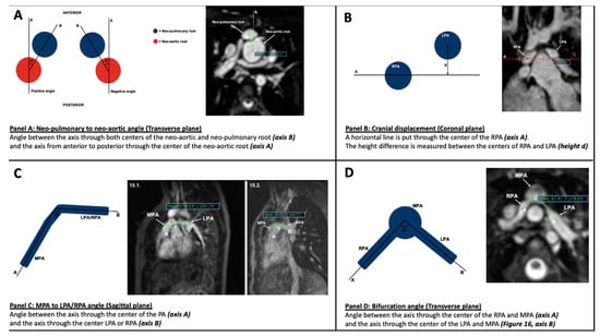 Diagnostics 12 02629 g001