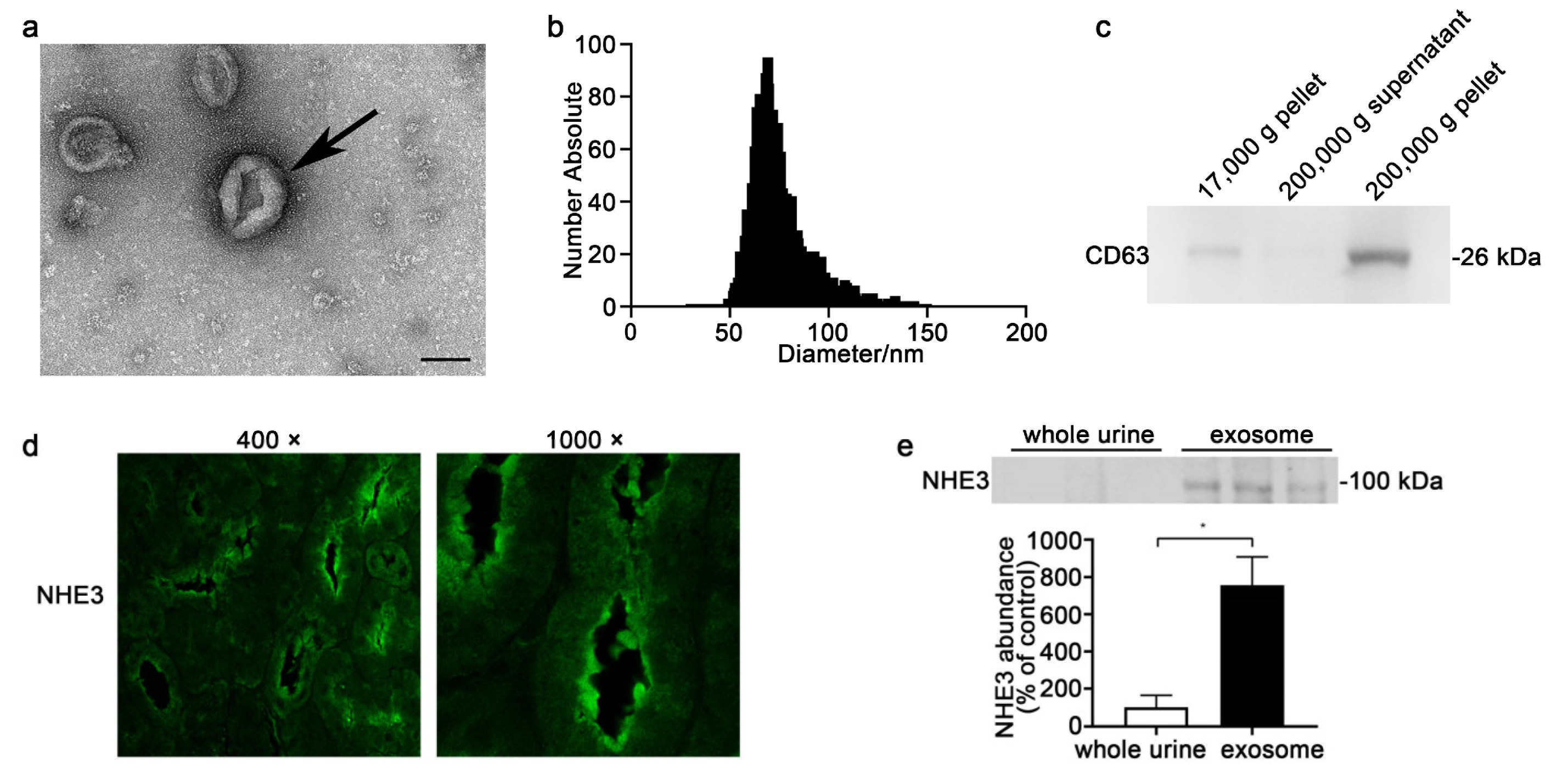 Diagnostics 12 02634 g001
