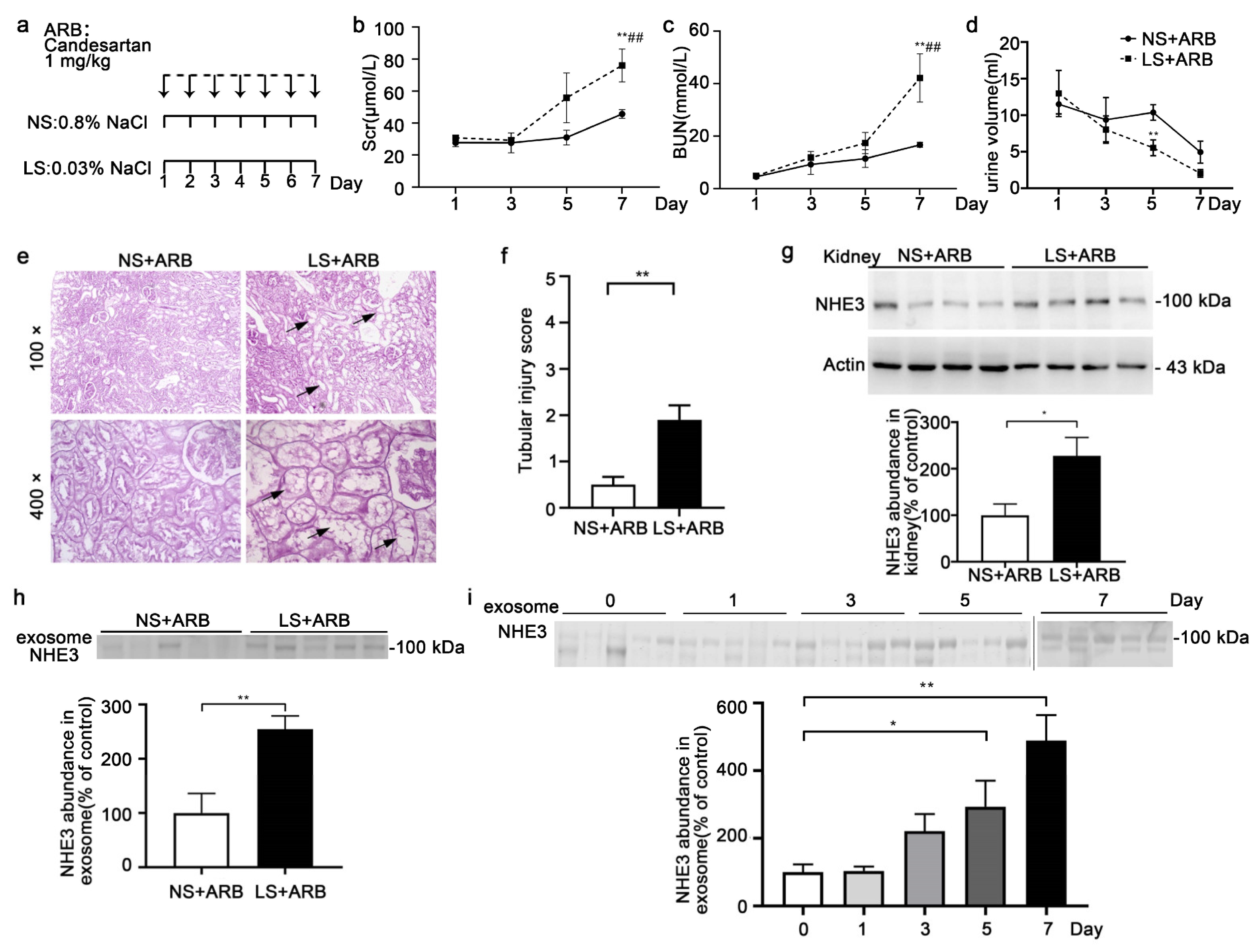 Diagnostics 12 02634 g004