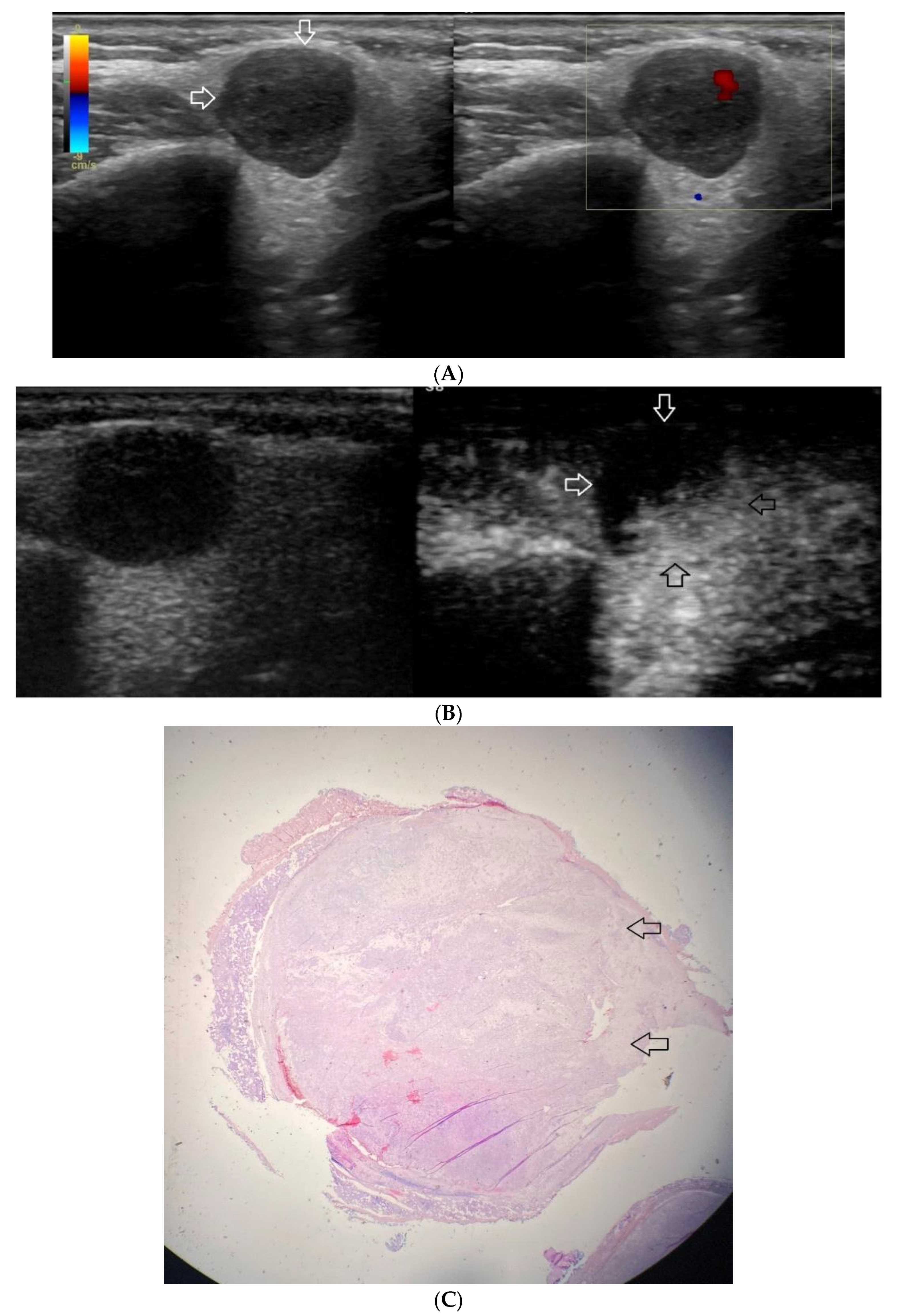 Diagnostics 12 02636 g002
