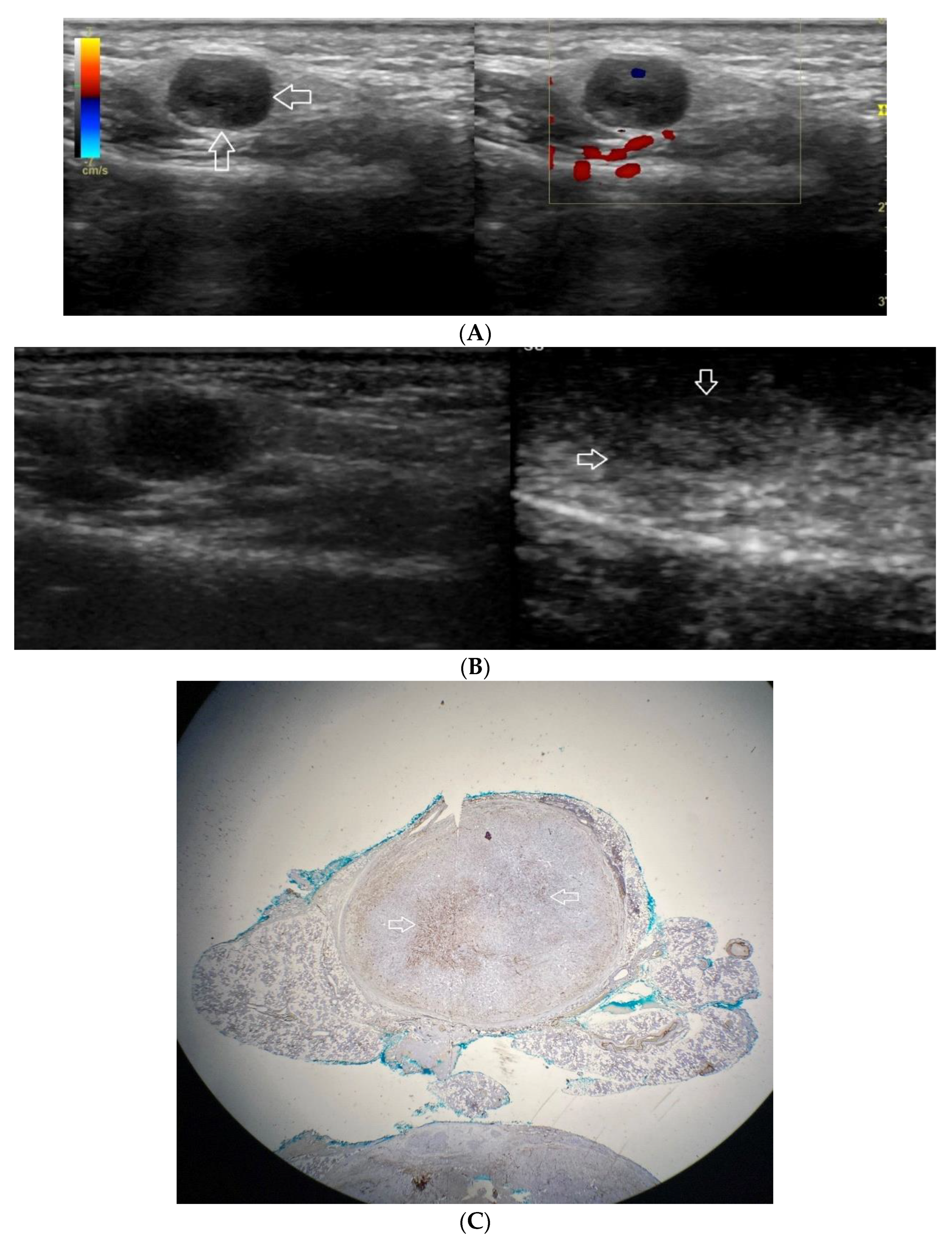 Diagnostics 12 02636 g003
