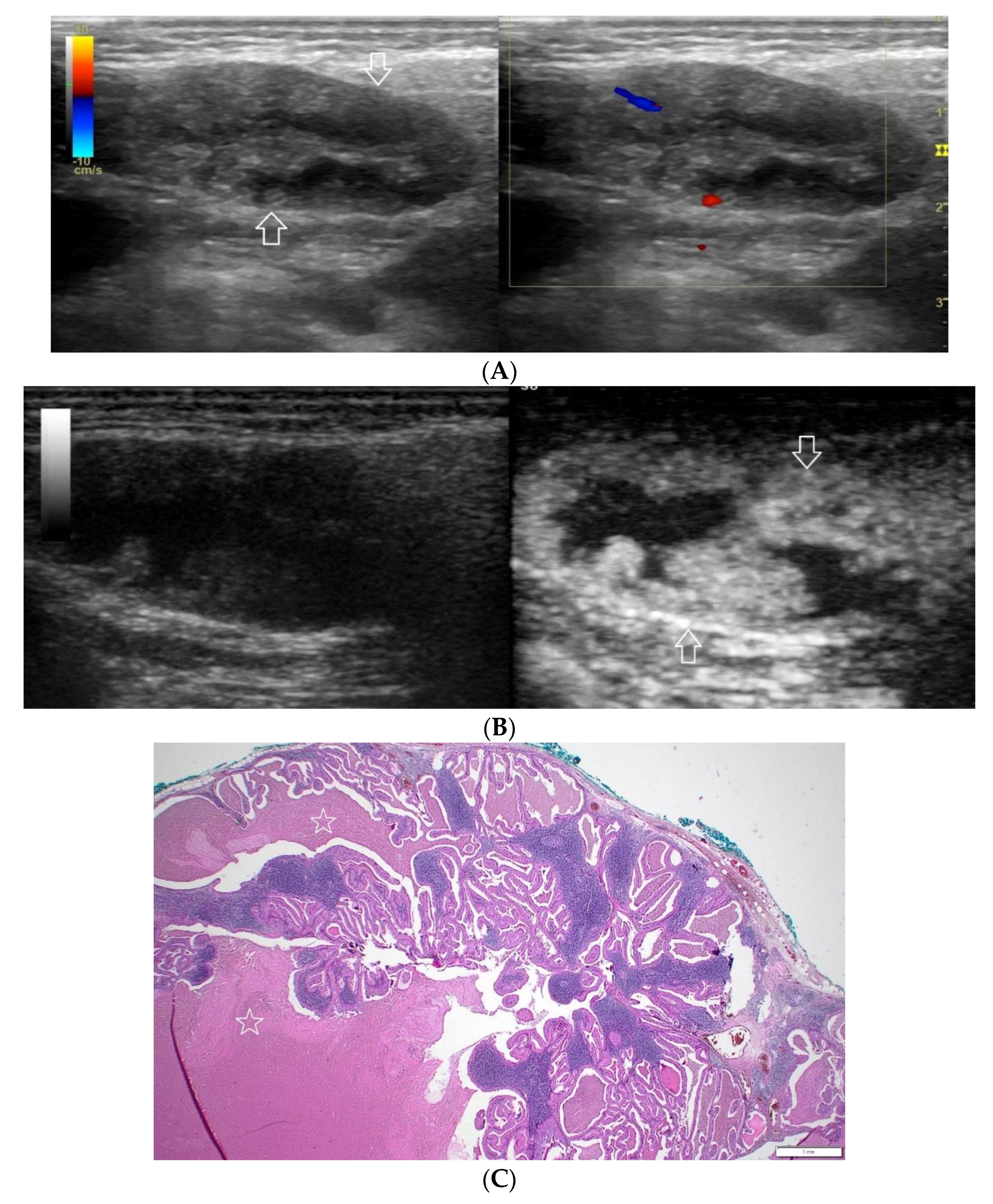 Diagnostics 12 02636 g004