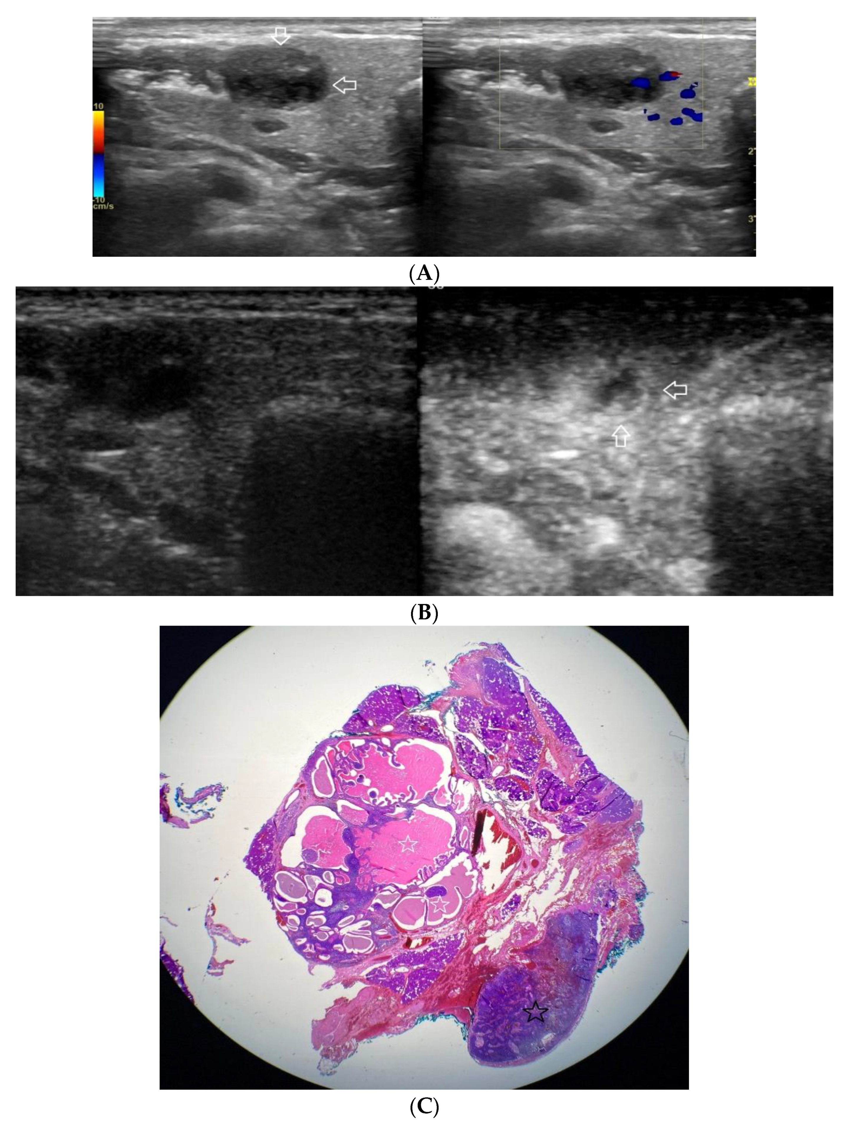 Diagnostics 12 02636 g005