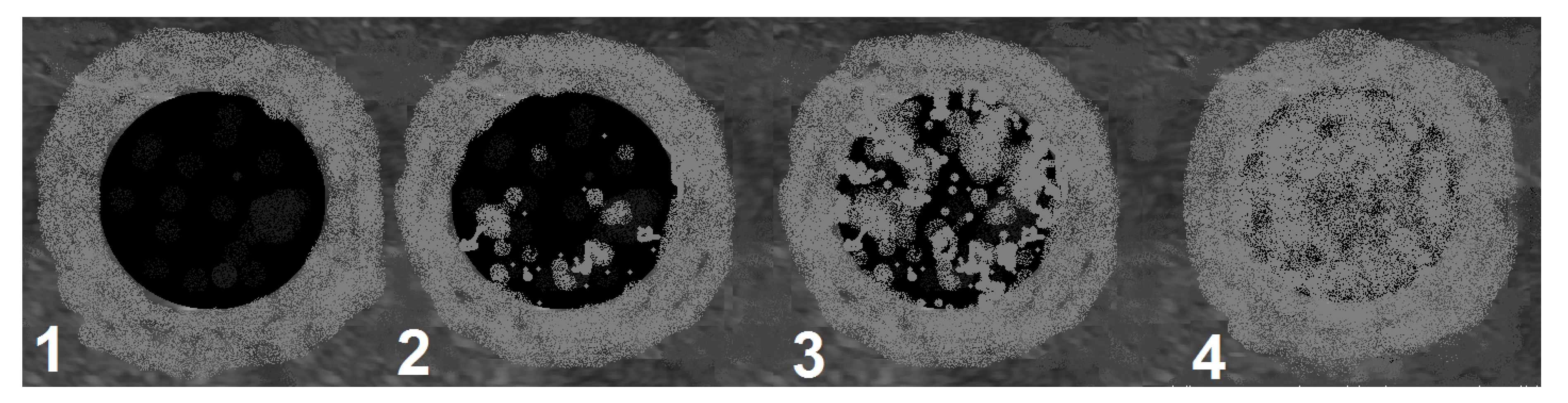 Diagnostics 12 02636 sch003