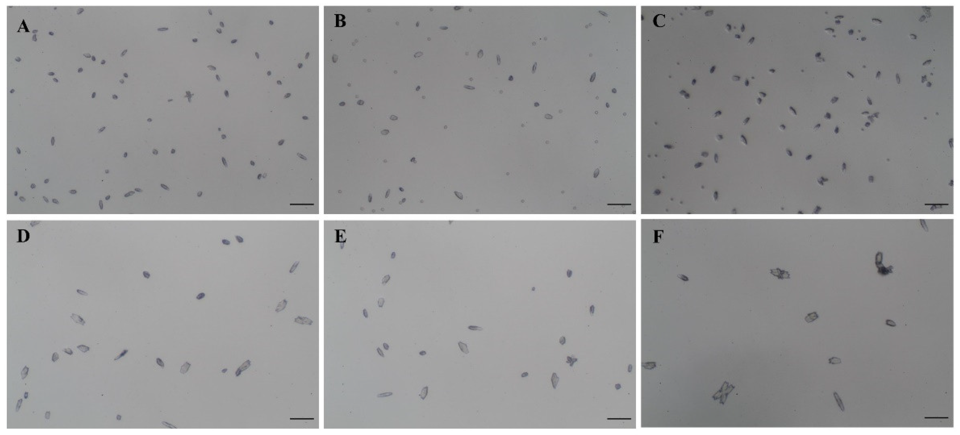 Diagnostics 12 02651 g001