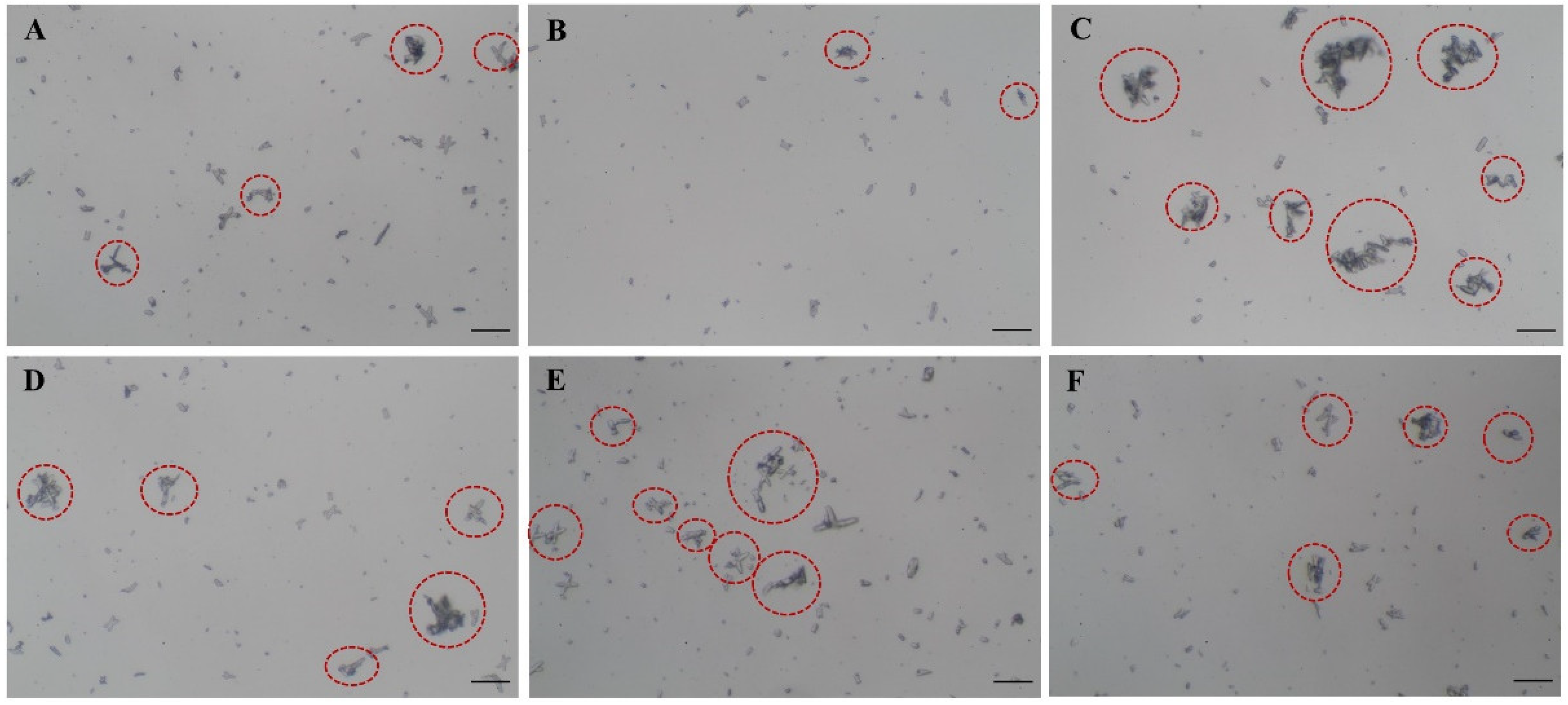 Diagnostics 12 02651 g002