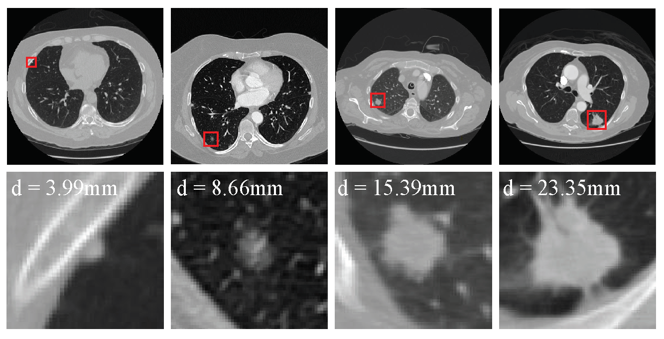 Diagnostics 12 02660 g001