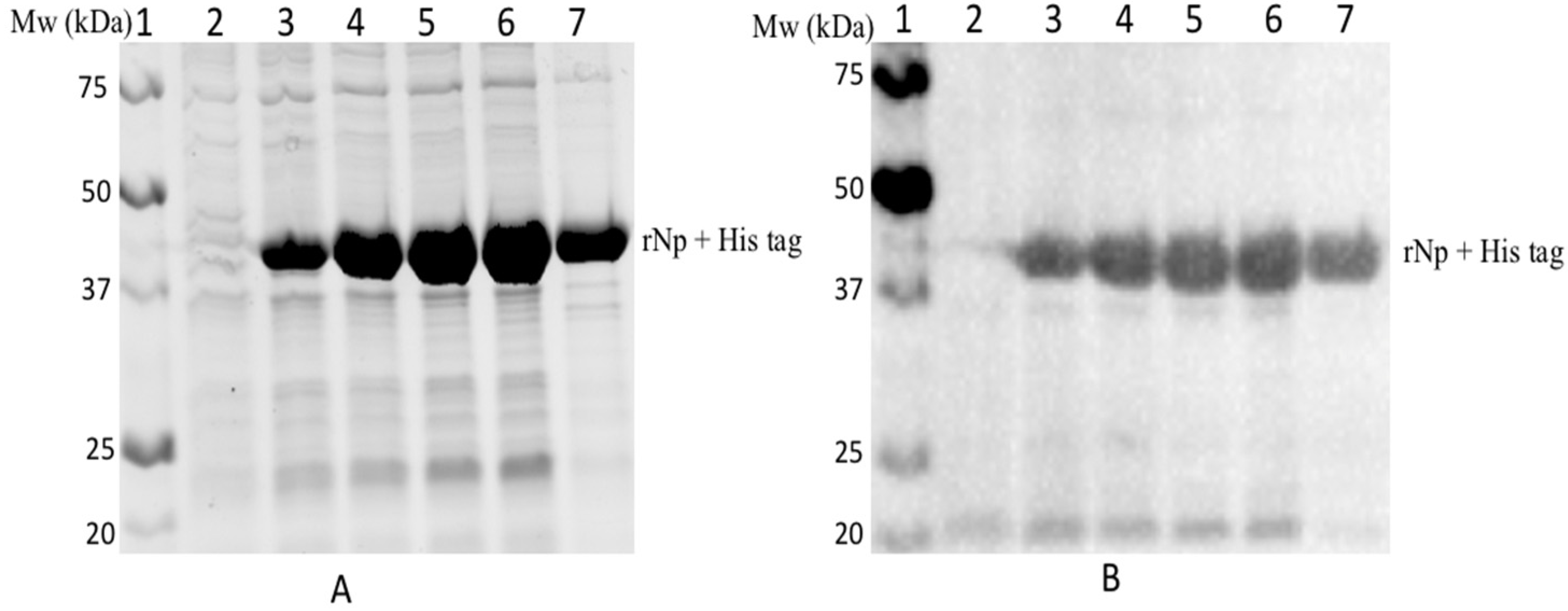 Diagnostics 12 02664 g003