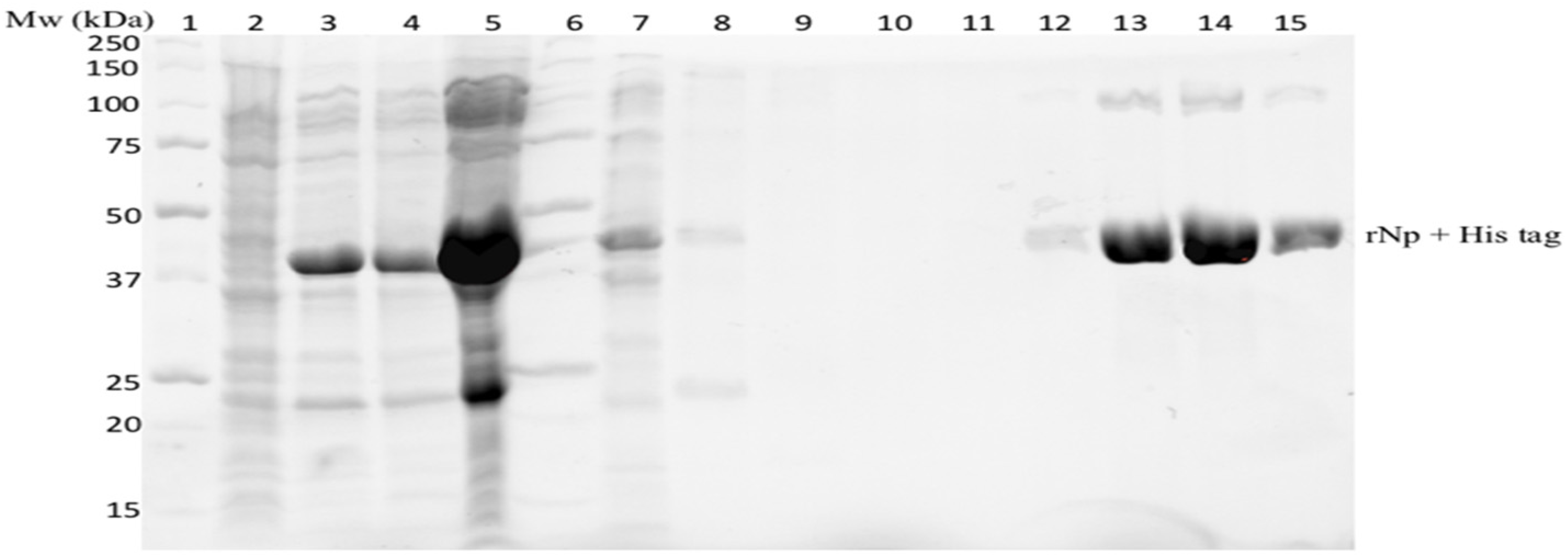 Diagnostics 12 02664 g004