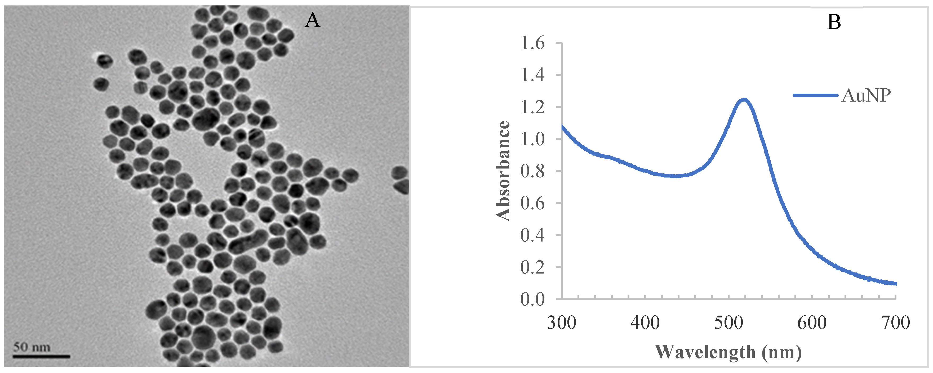 Diagnostics 12 02664 g005