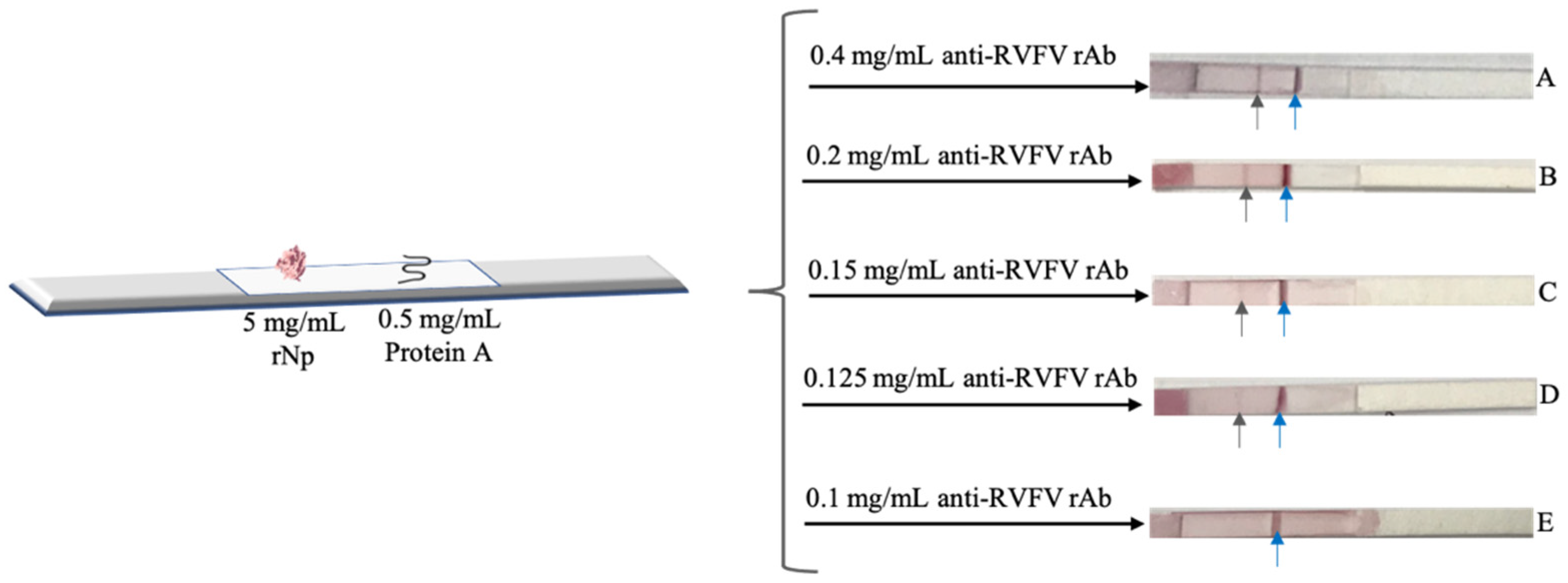 Diagnostics 12 02664 g006