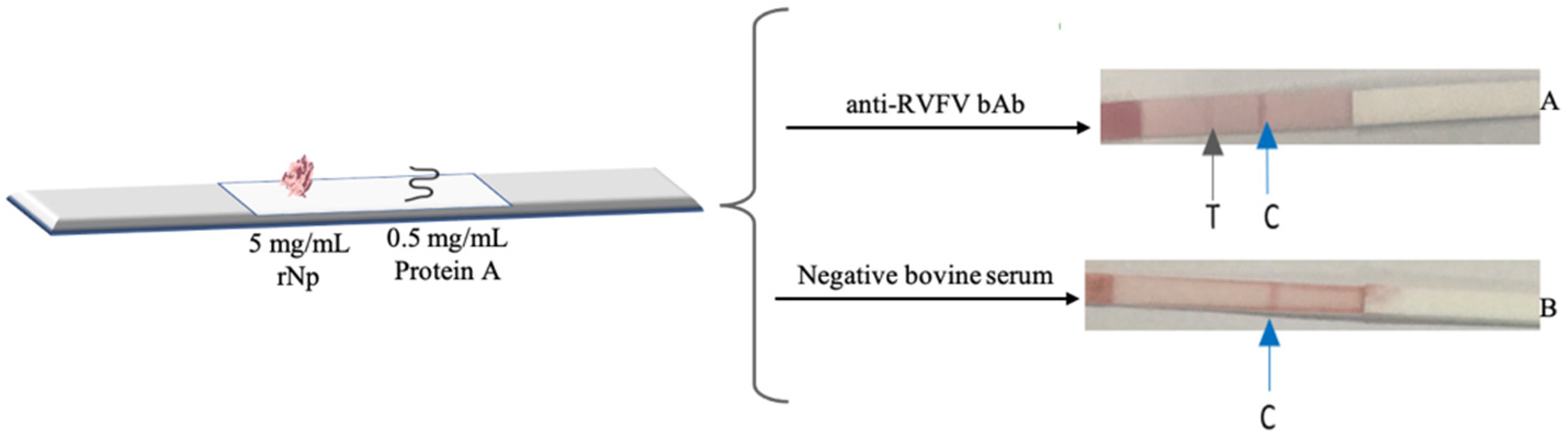Diagnostics 12 02664 g007
