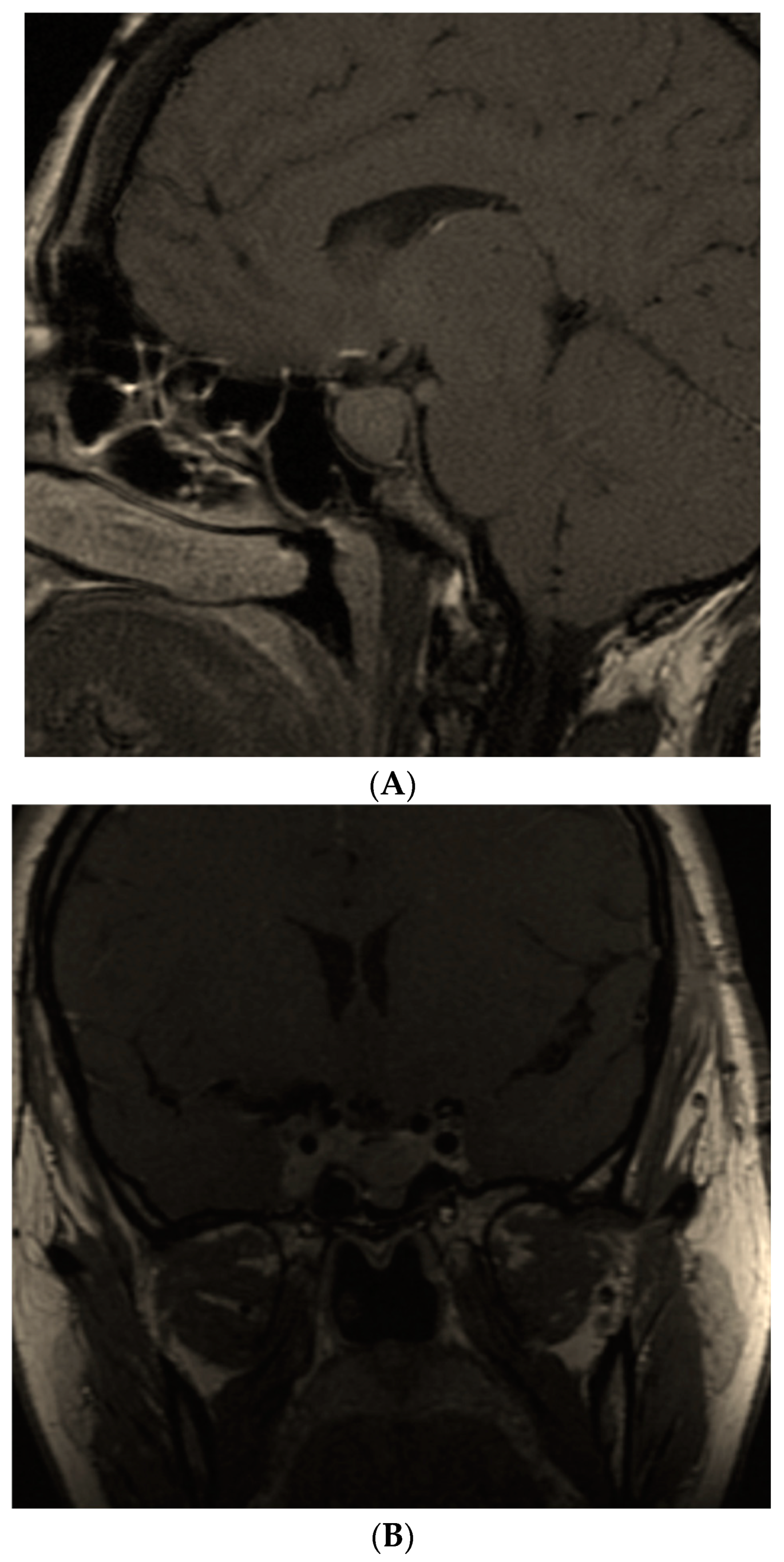 Diagnostics 12 02669 g004a