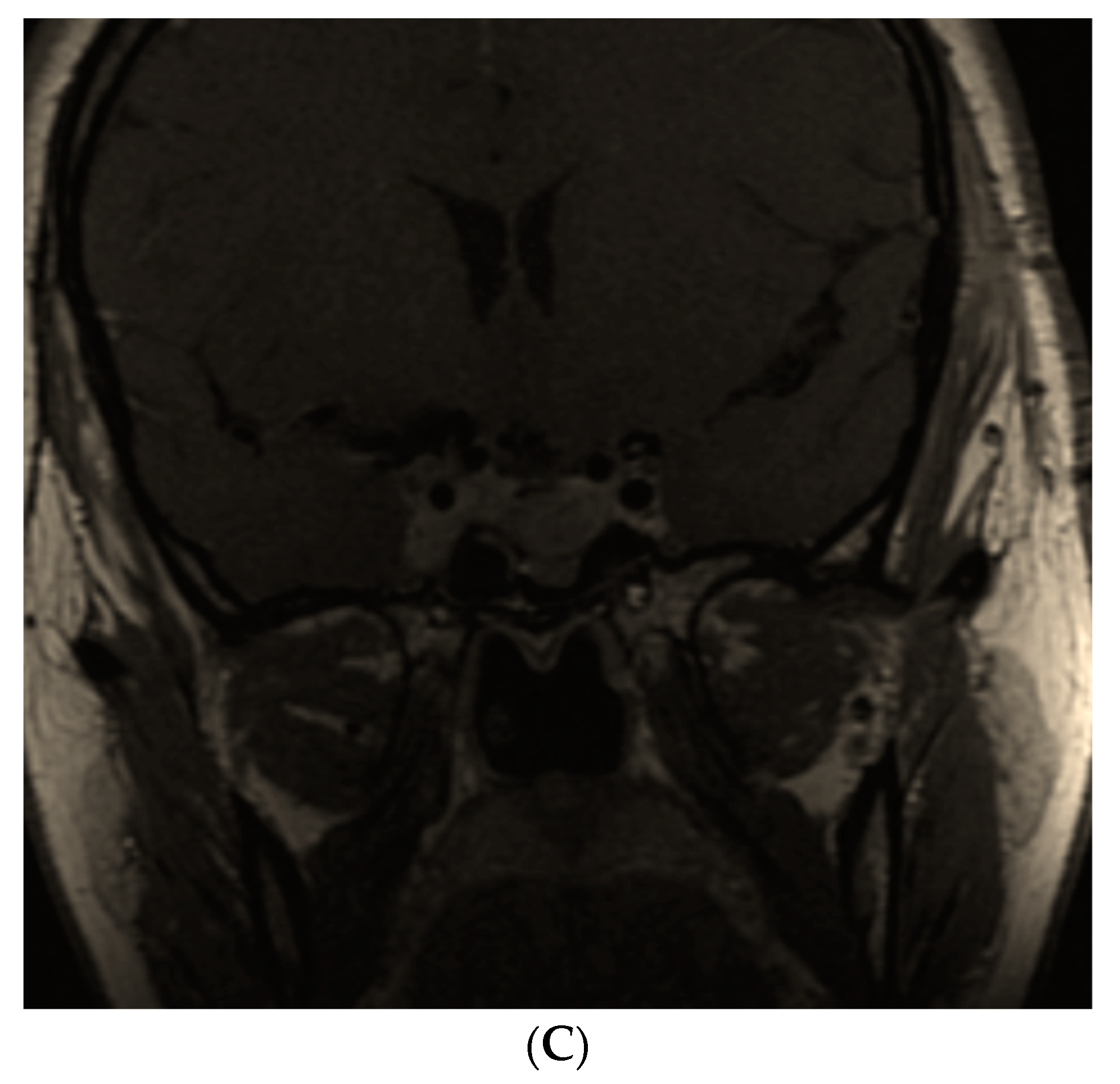 Diagnostics 12 02669 g004b