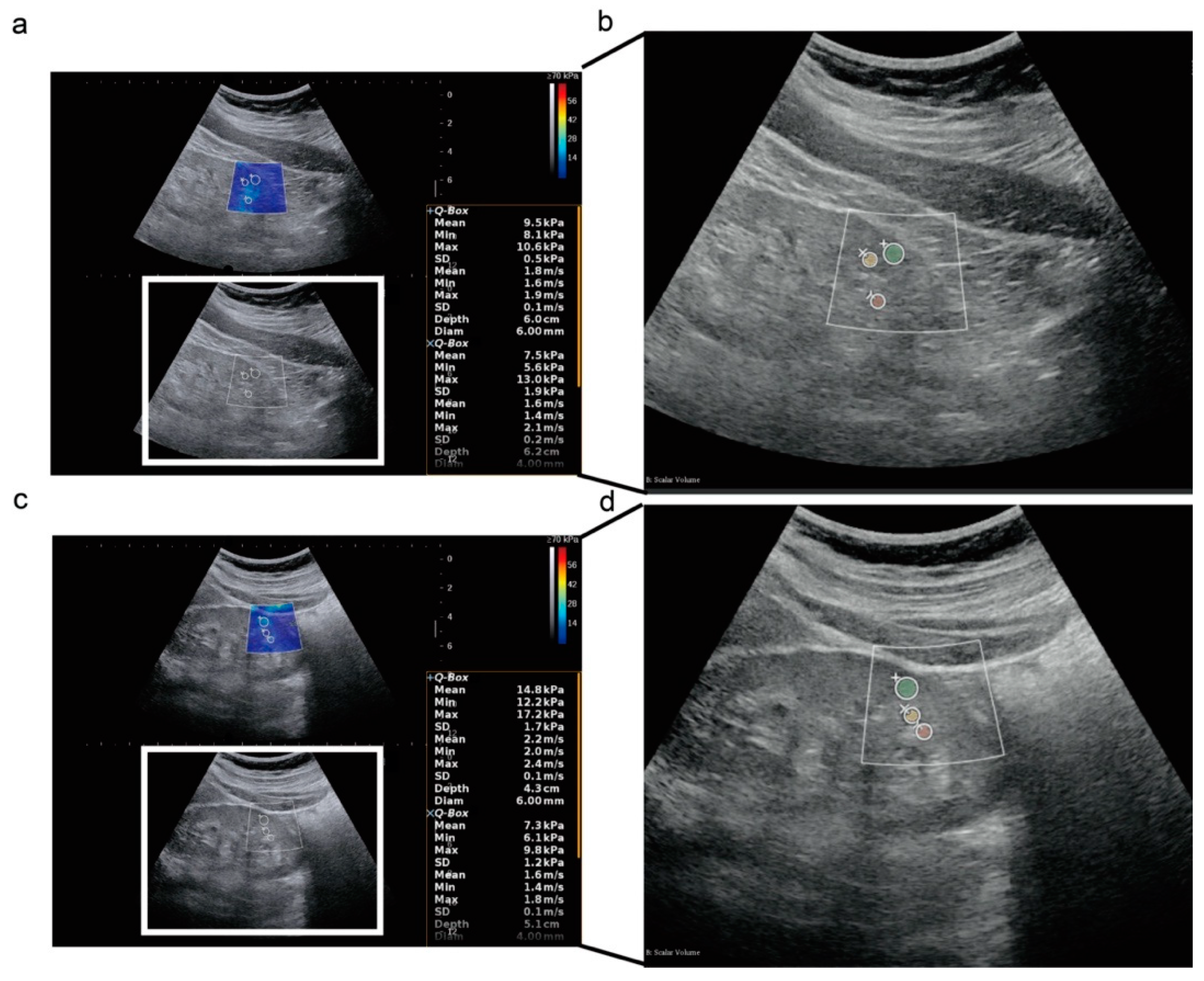Diagnostics 12 02678 g001