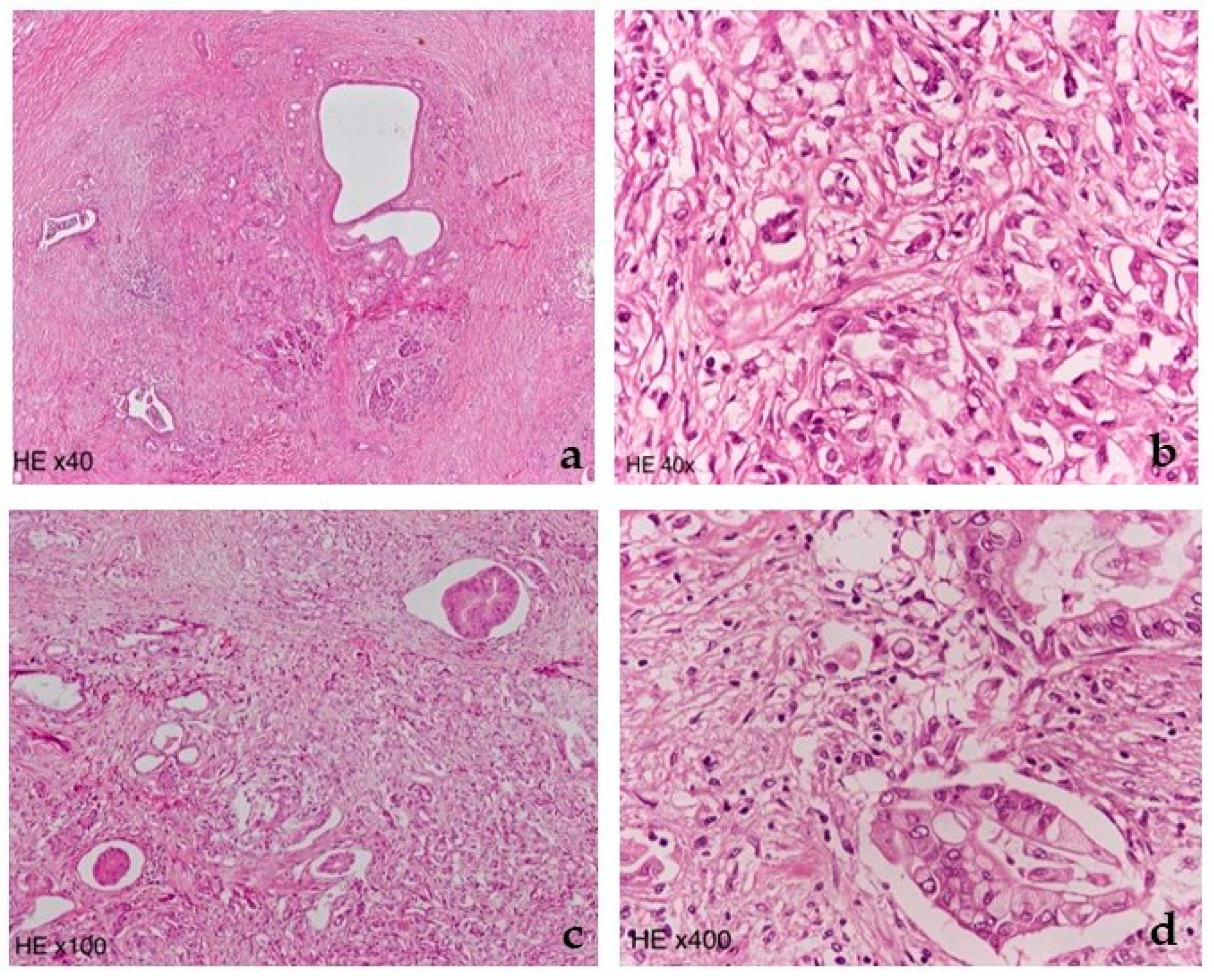 Diagnostics 12 02709 g006 Diagnostics 12 02709 g006