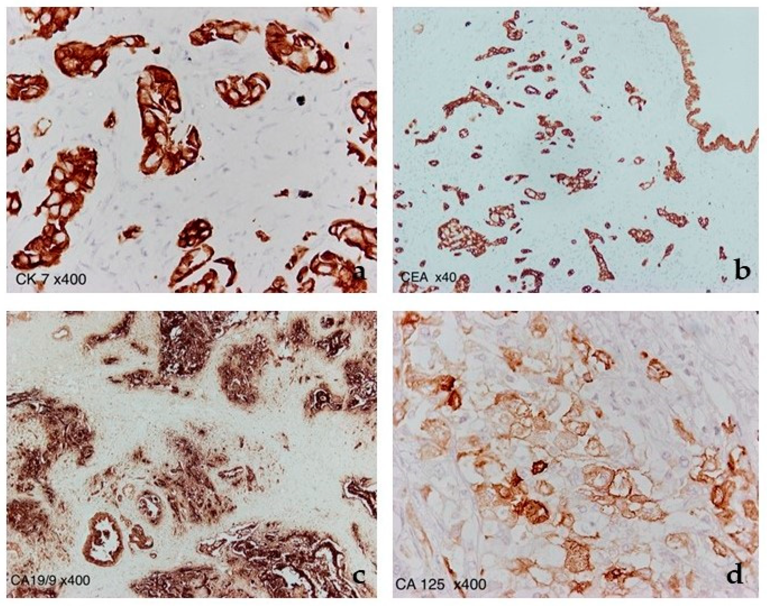 Diagnostics 12 02709 g007 Diagnostics 12 02709 g007