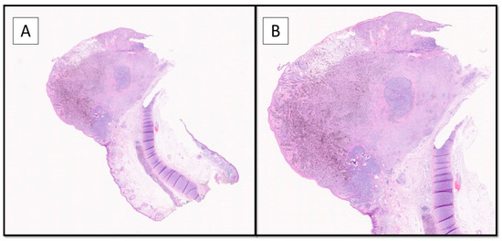 Diagnostics 12 02713 g002