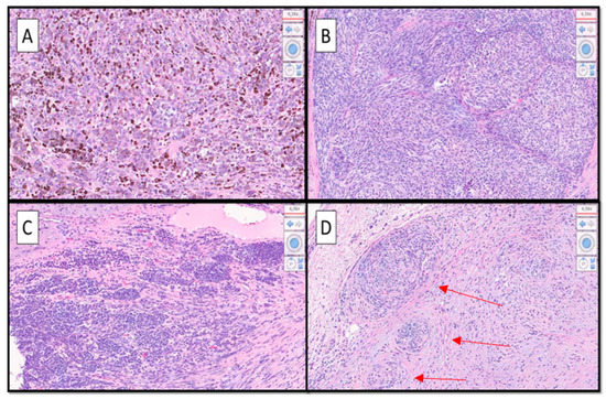 Diagnostics 12 02713 g003