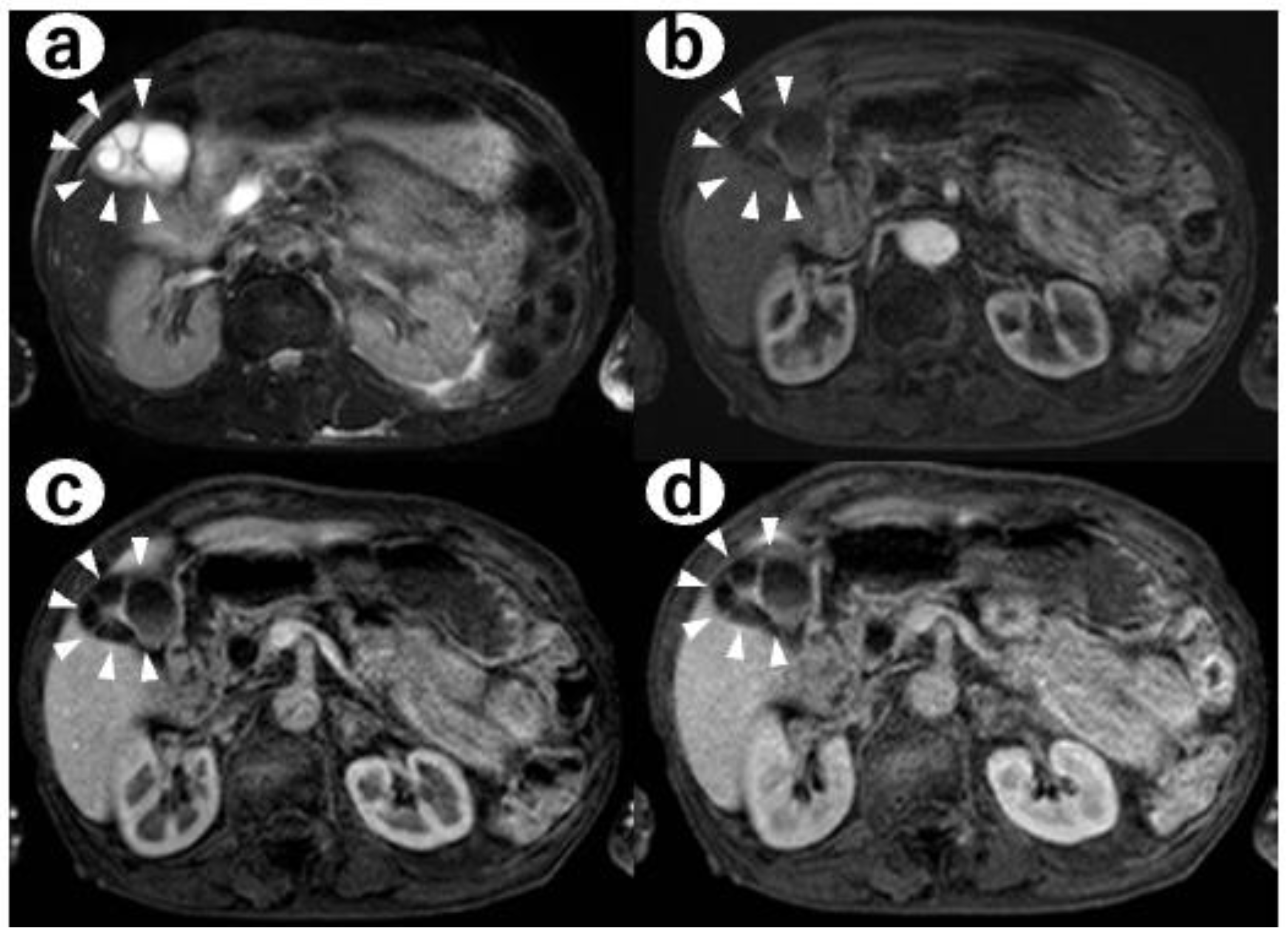 Diagnostics 12 02721 g003
