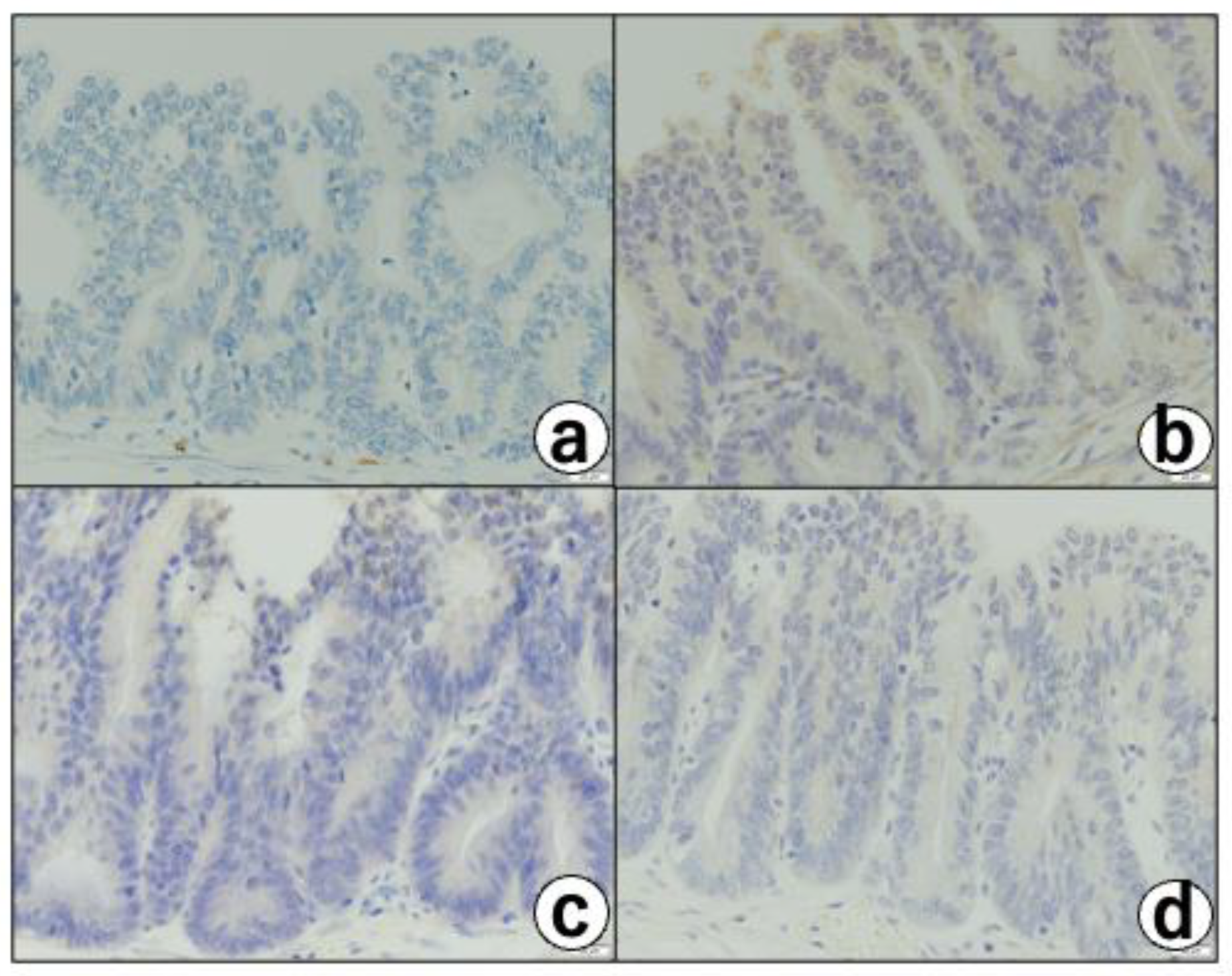 Diagnostics 12 02721 g006