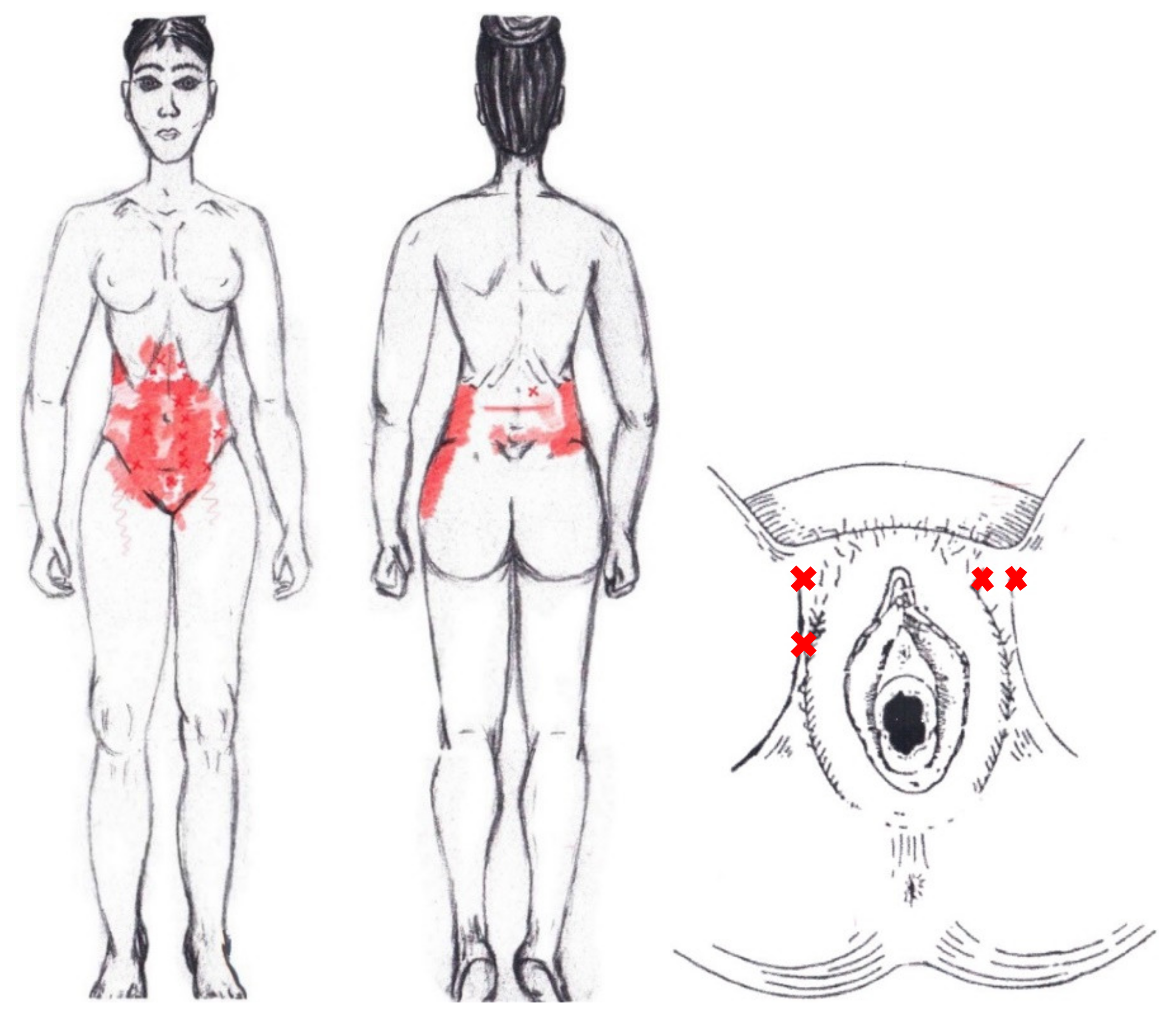 Diagnostics 12 02723 g004