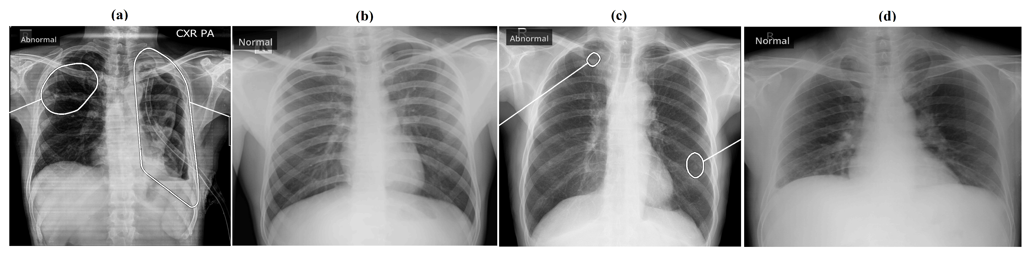 Diagnostics 12 02724 g006