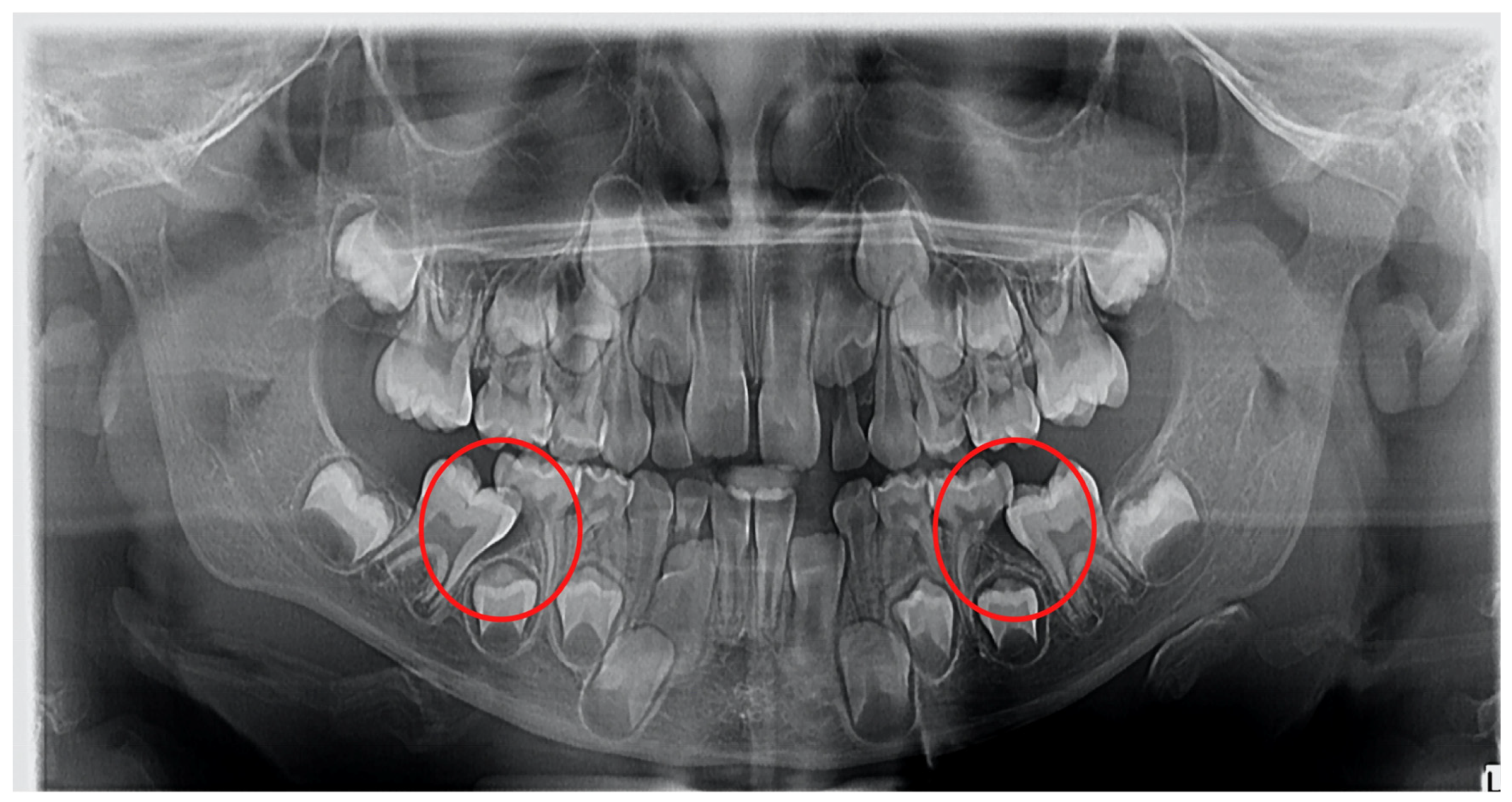 Diagnostics 12 02731 g002