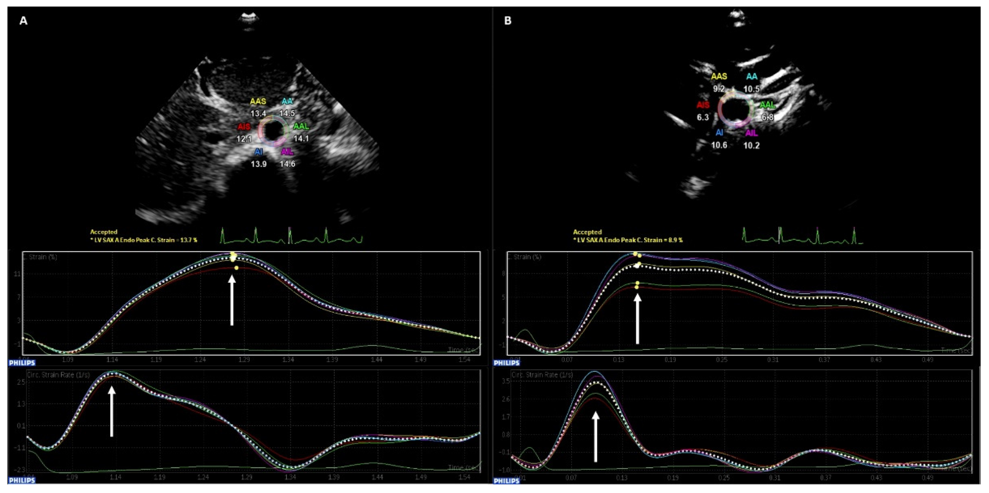 Diagnostics 12 02763 g001