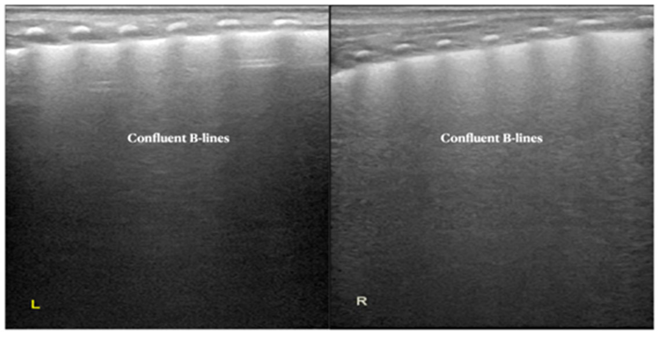 Diagnostics 12 02790 g002 Diagnostics 12 02790 g002