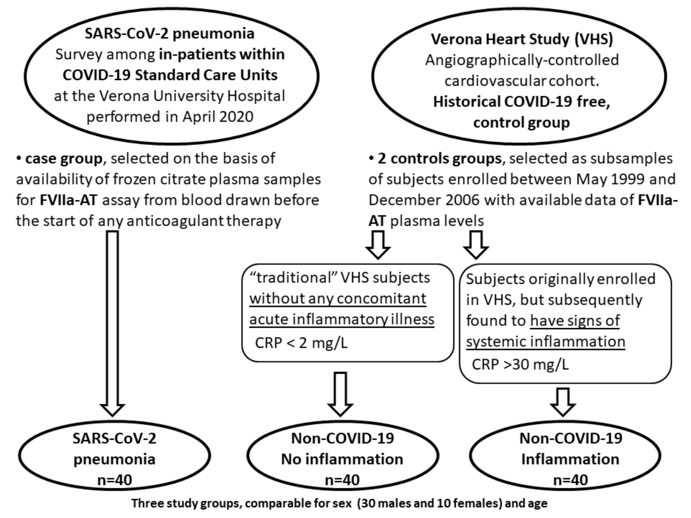 Diagnostics 12 02792 g001 Diagnostics 12 02792 g001