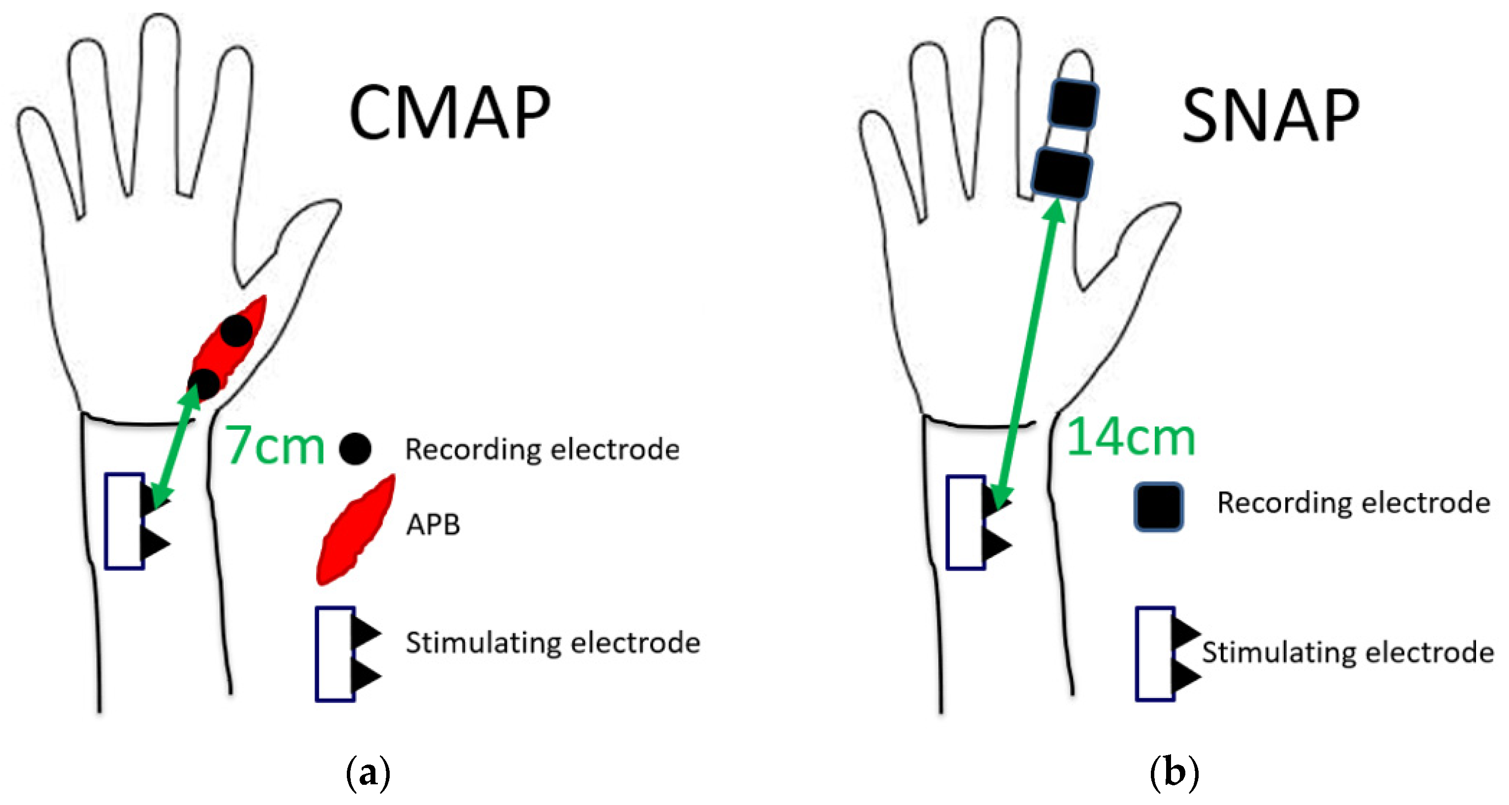 Diagnostics 12 02799 g002