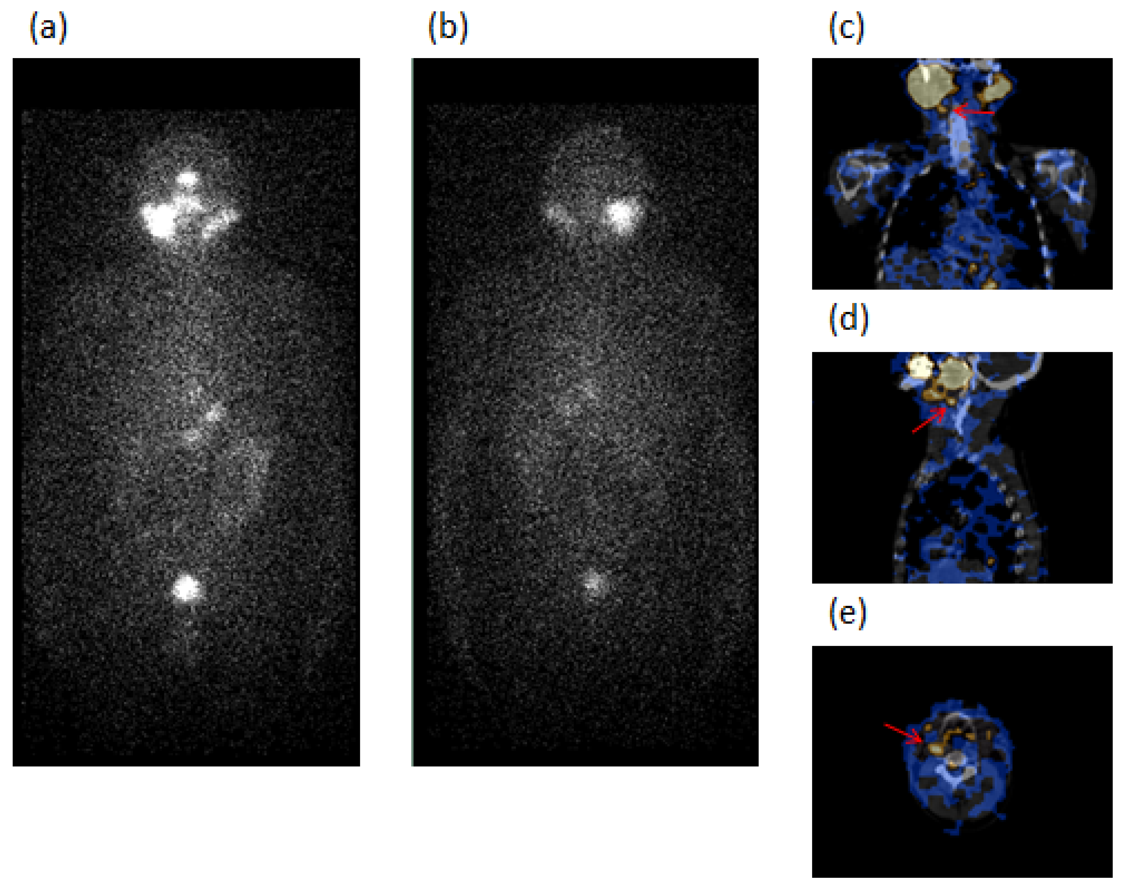 Diagnostics 12 02801 g002