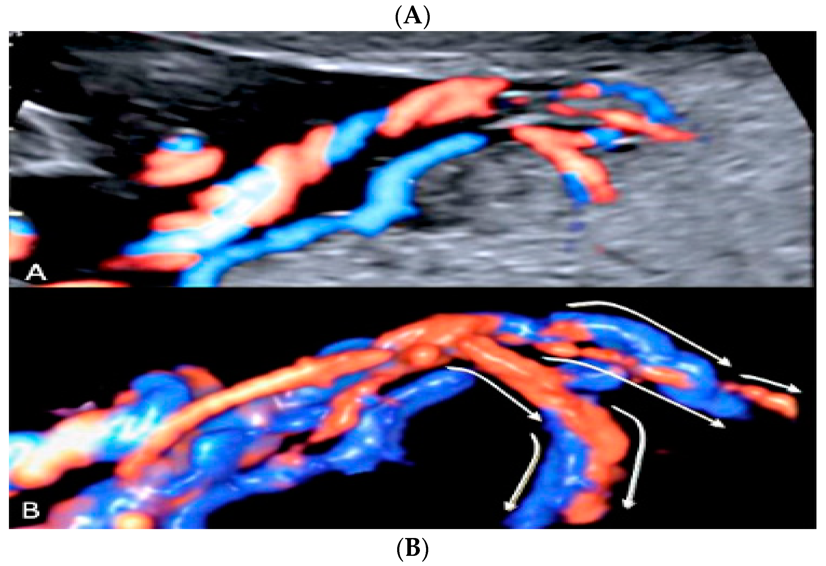 Diagnostics 12 02810 g019 Diagnostics 12 02810 g019