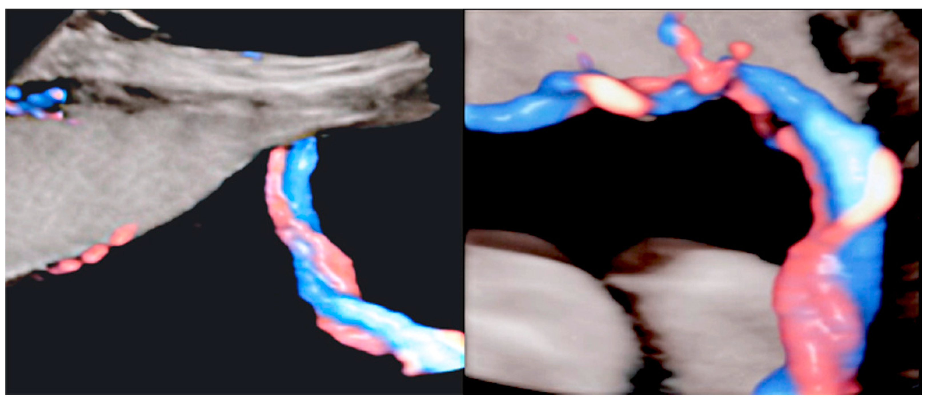 Diagnostics 12 02810 g023 Diagnostics 12 02810 g023