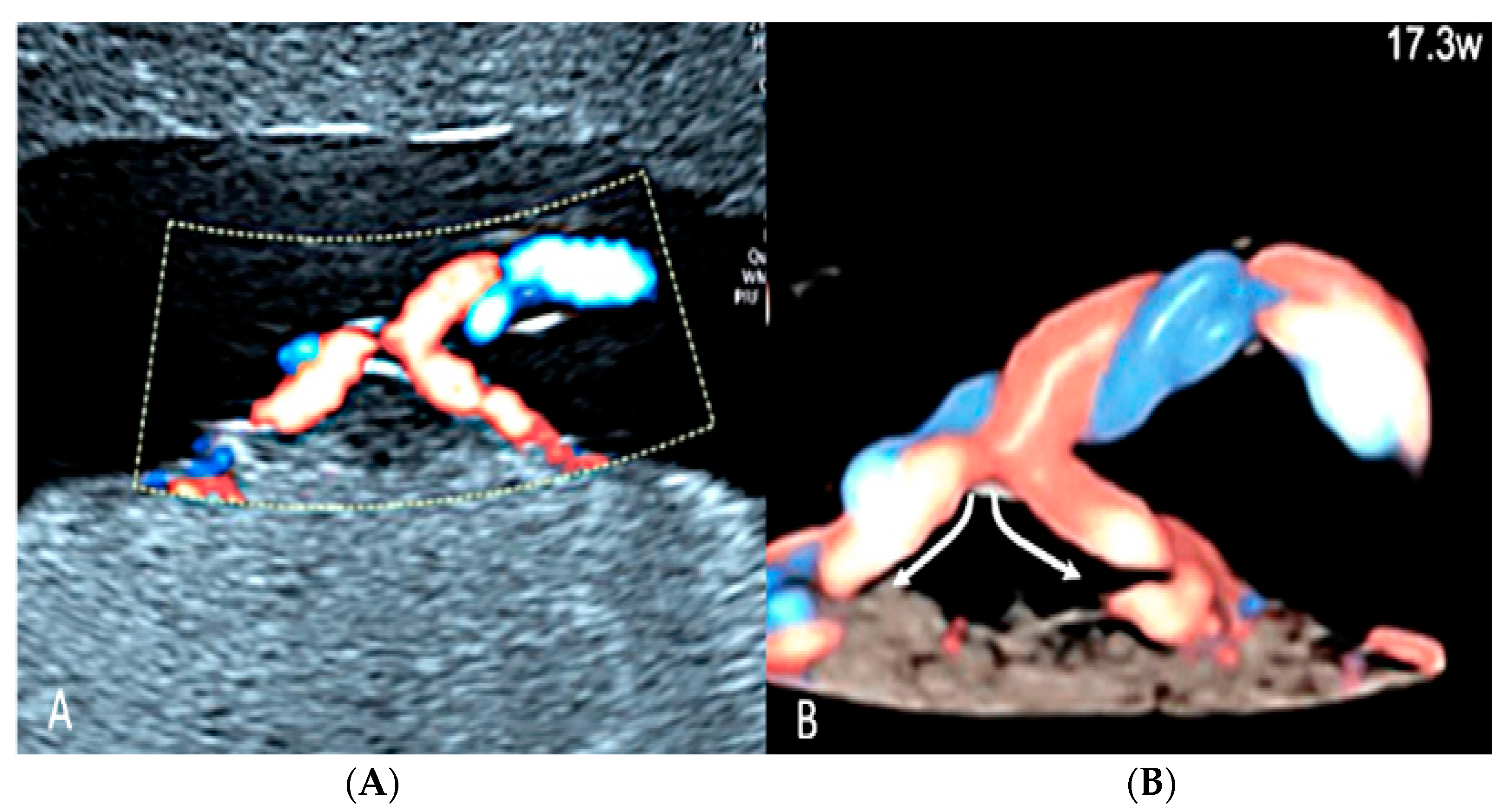 Diagnostics 12 02810 g024 Diagnostics 12 02810 g024