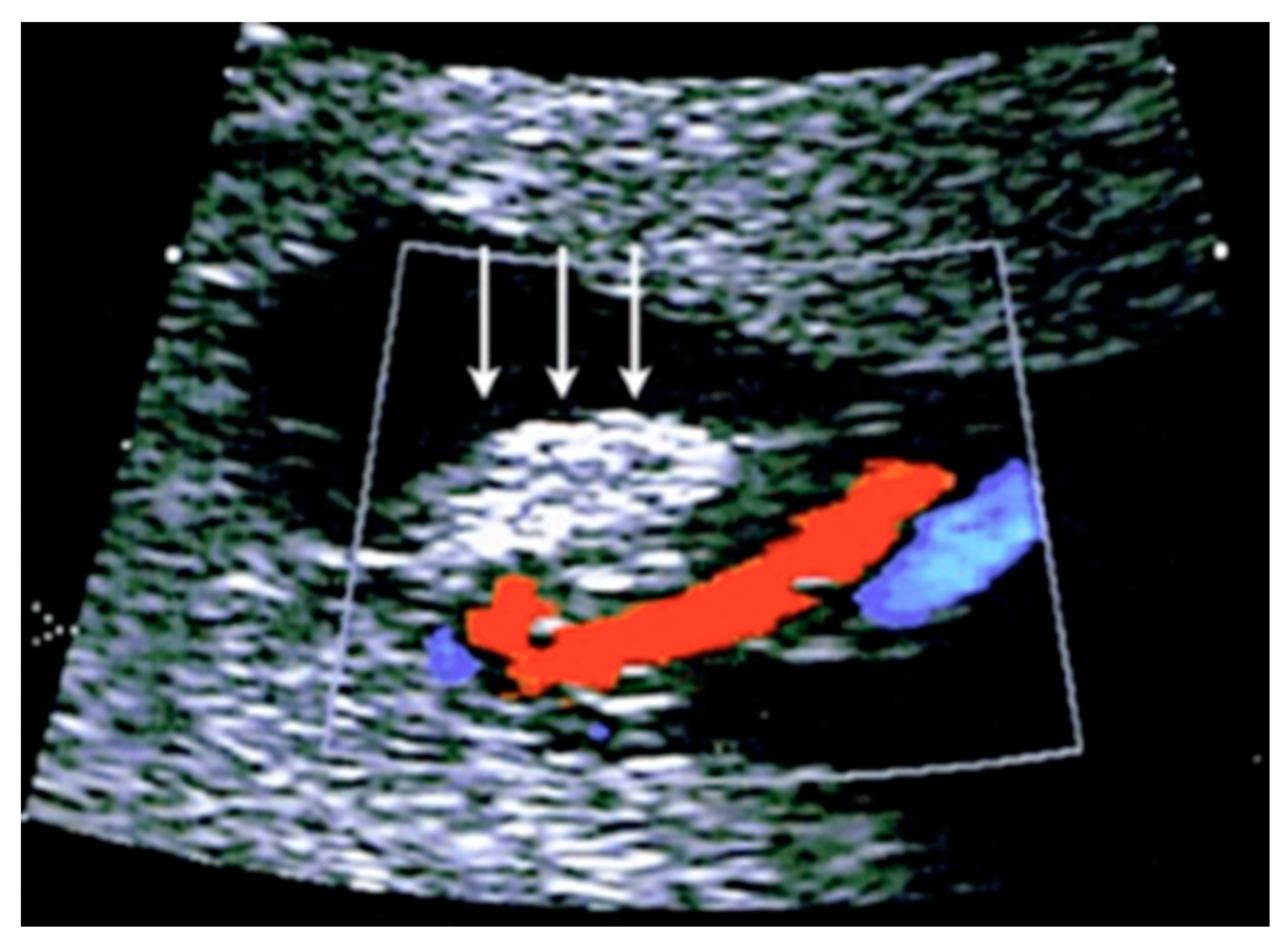 Diagnostics 12 02810 g028 Diagnostics 12 02810 g028