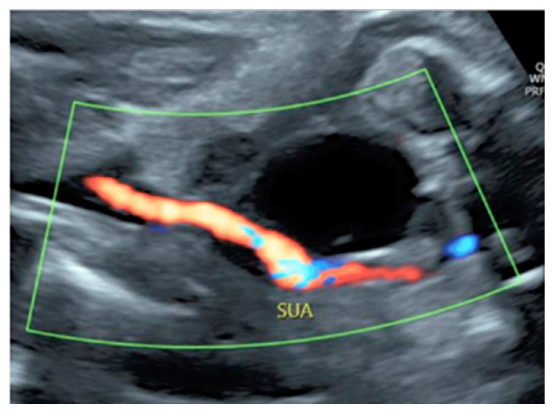 Diagnostics 12 02810 g030 Diagnostics 12 02810 g030
