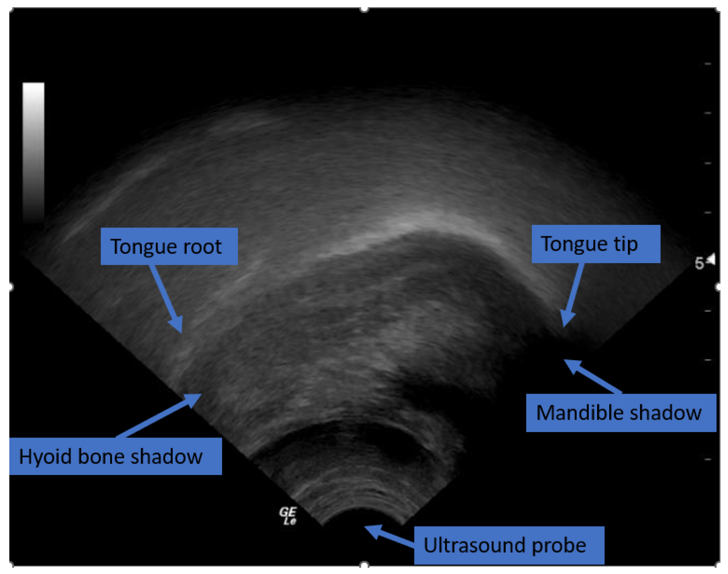 Diagnostics 12 02811 g002 Diagnostics 12 02811 g002