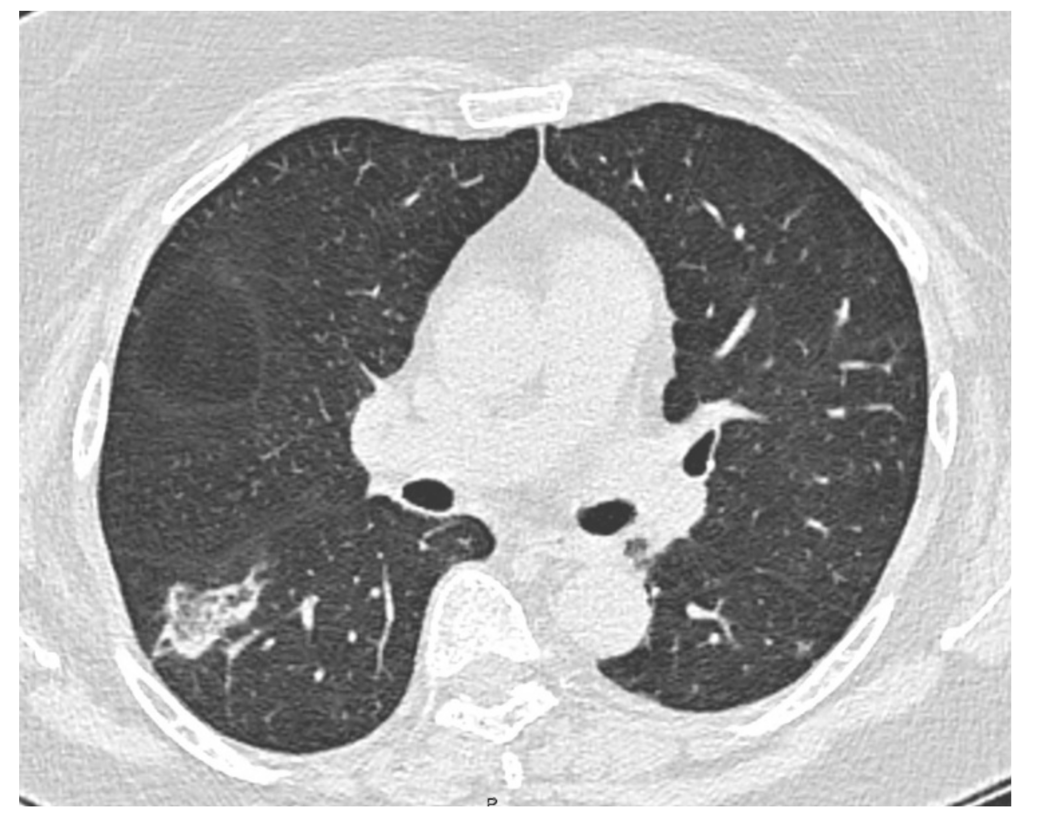 Diagnostics 12 02813 g001