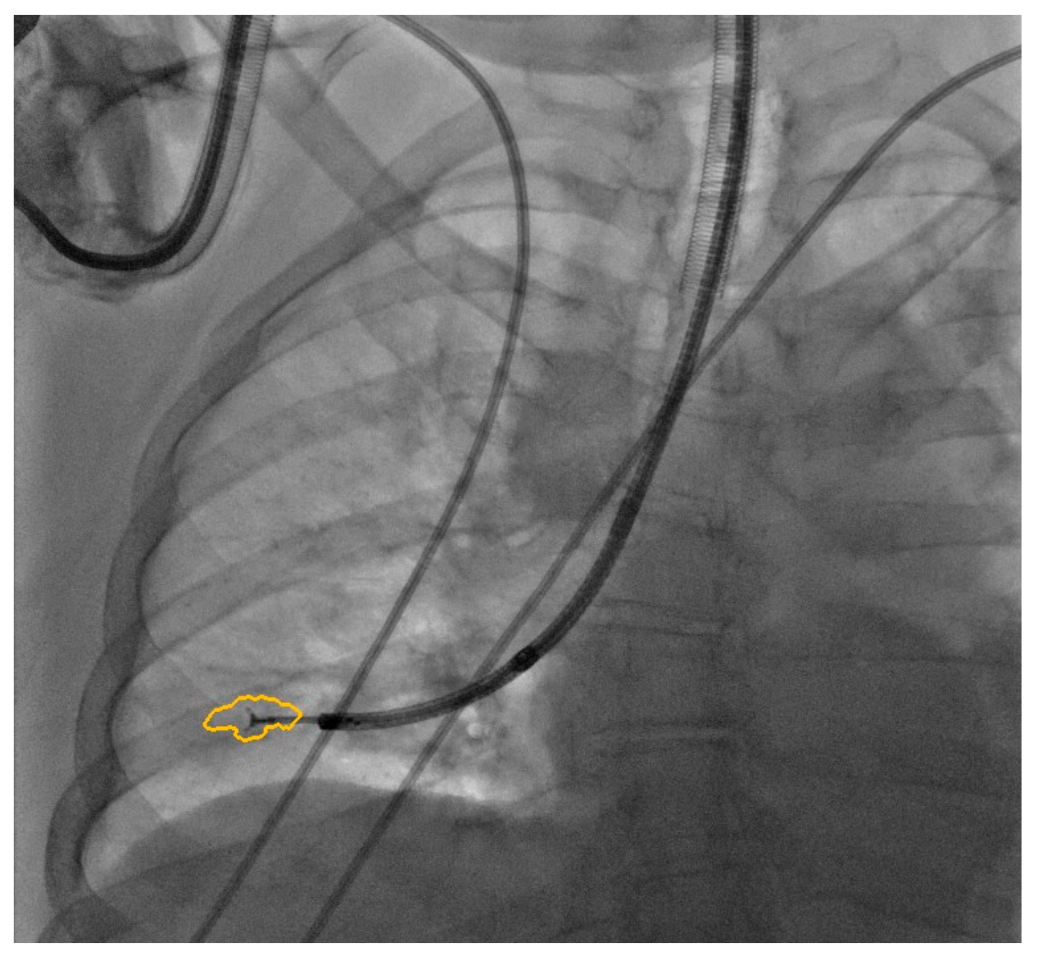 Diagnostics 12 02813 g002