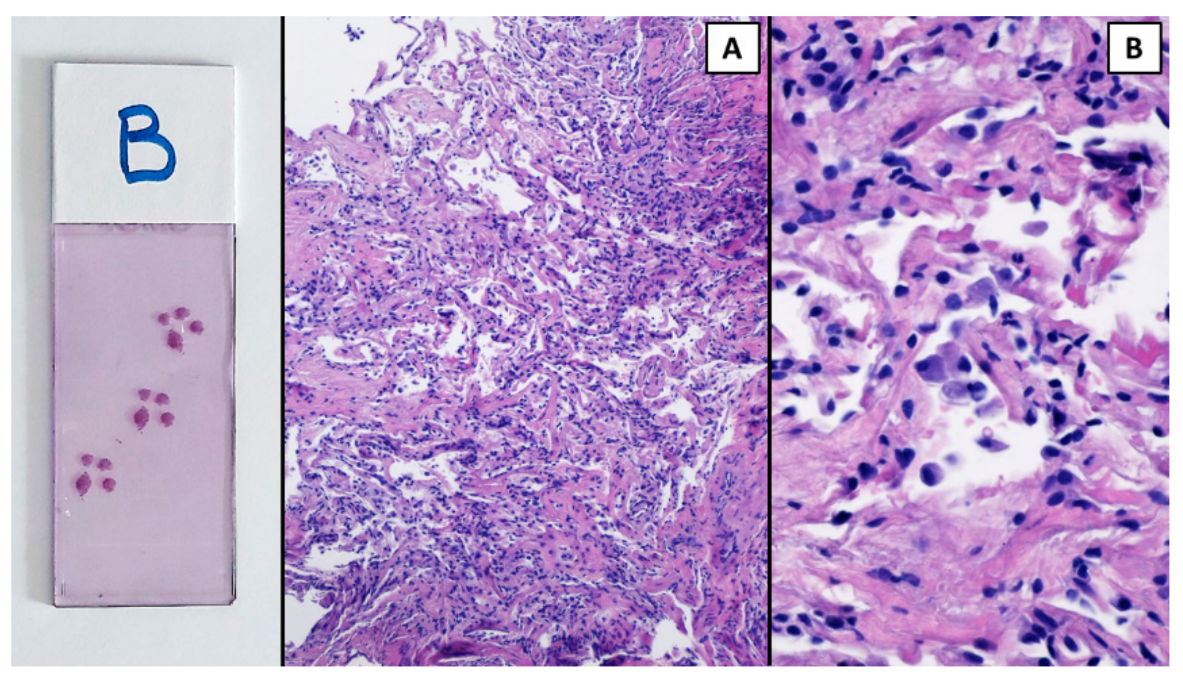 Diagnostics 12 02813 g003