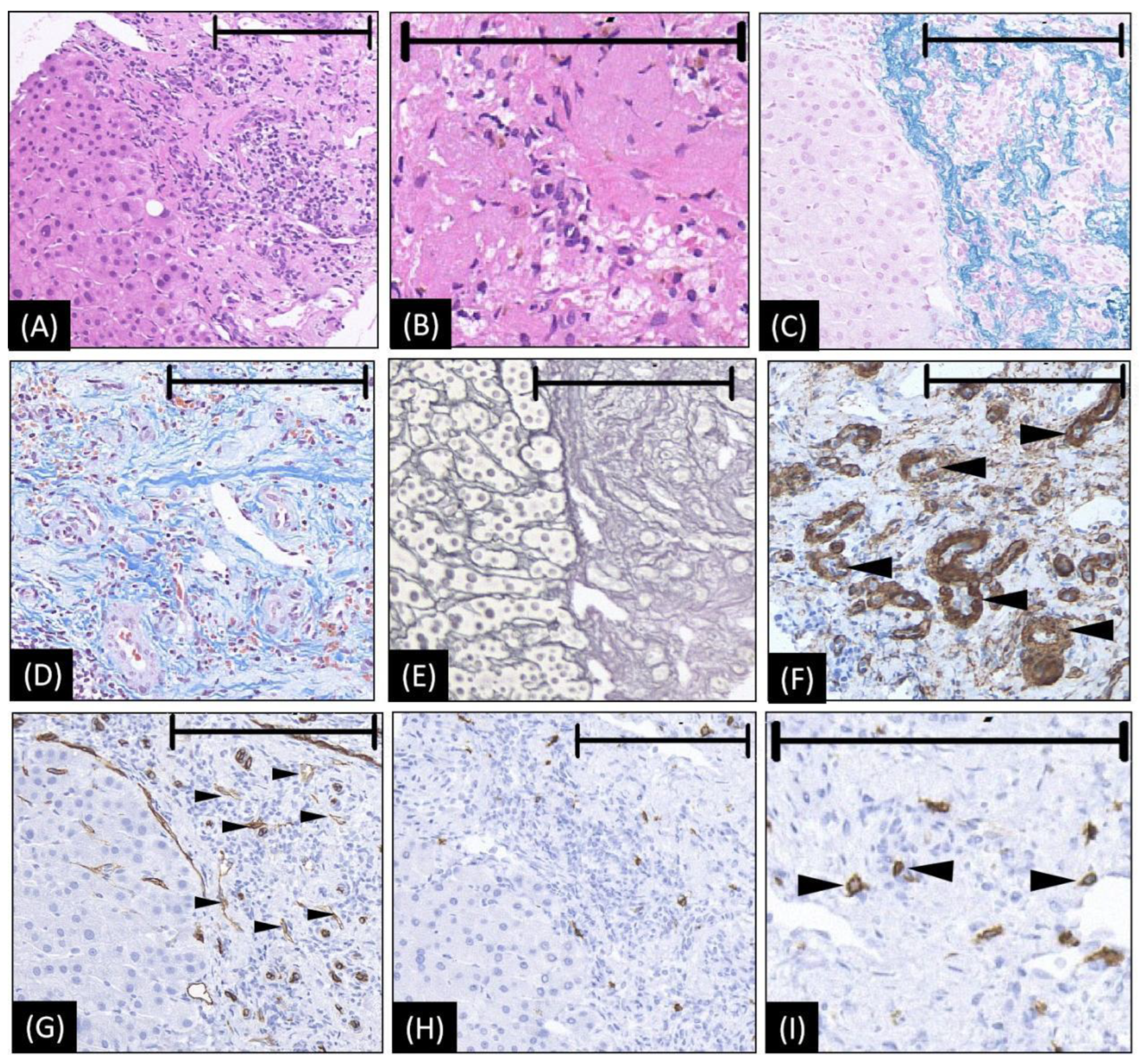 Diagnostics 12 02818 g002