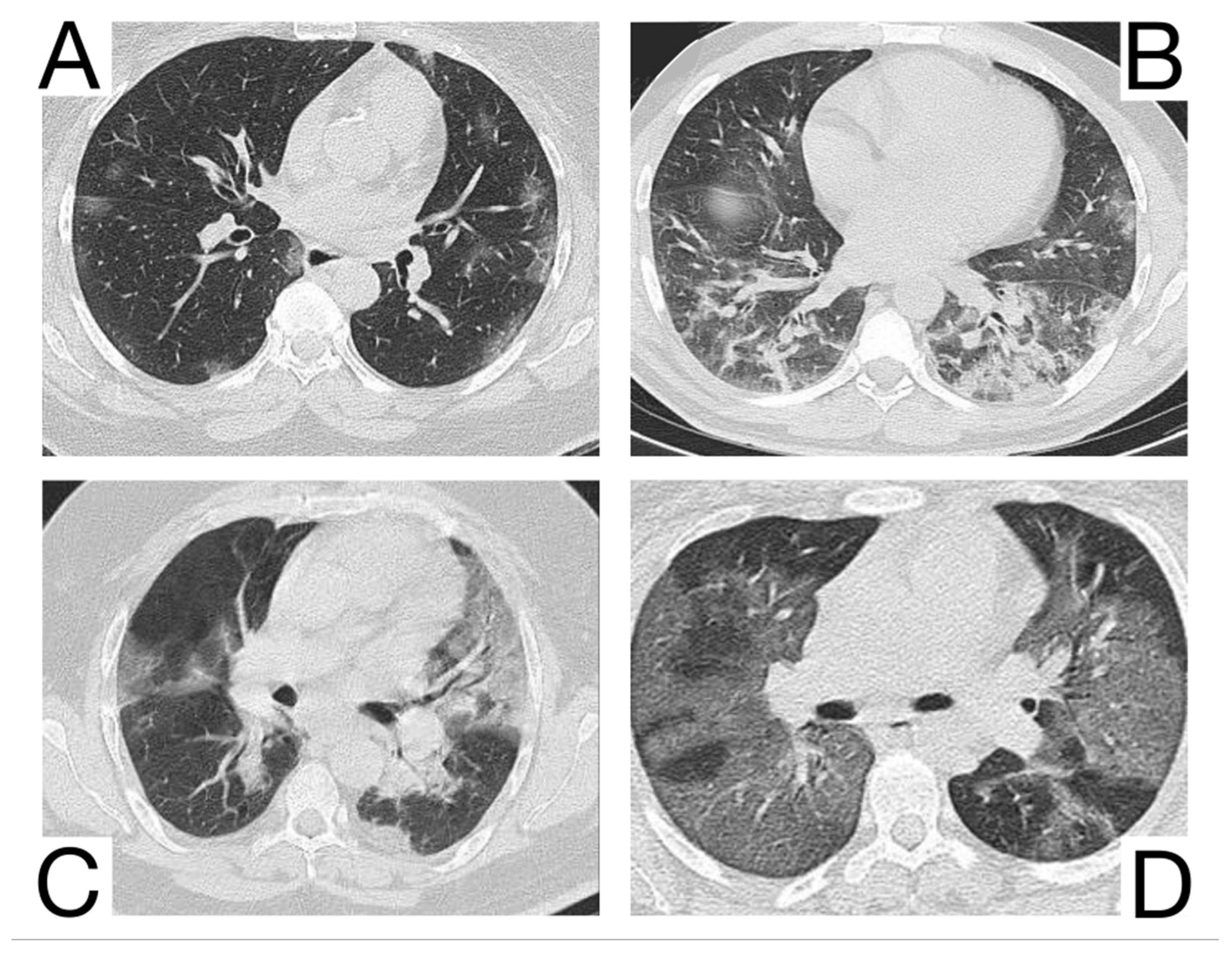 Diagnostics 12 02823 g004