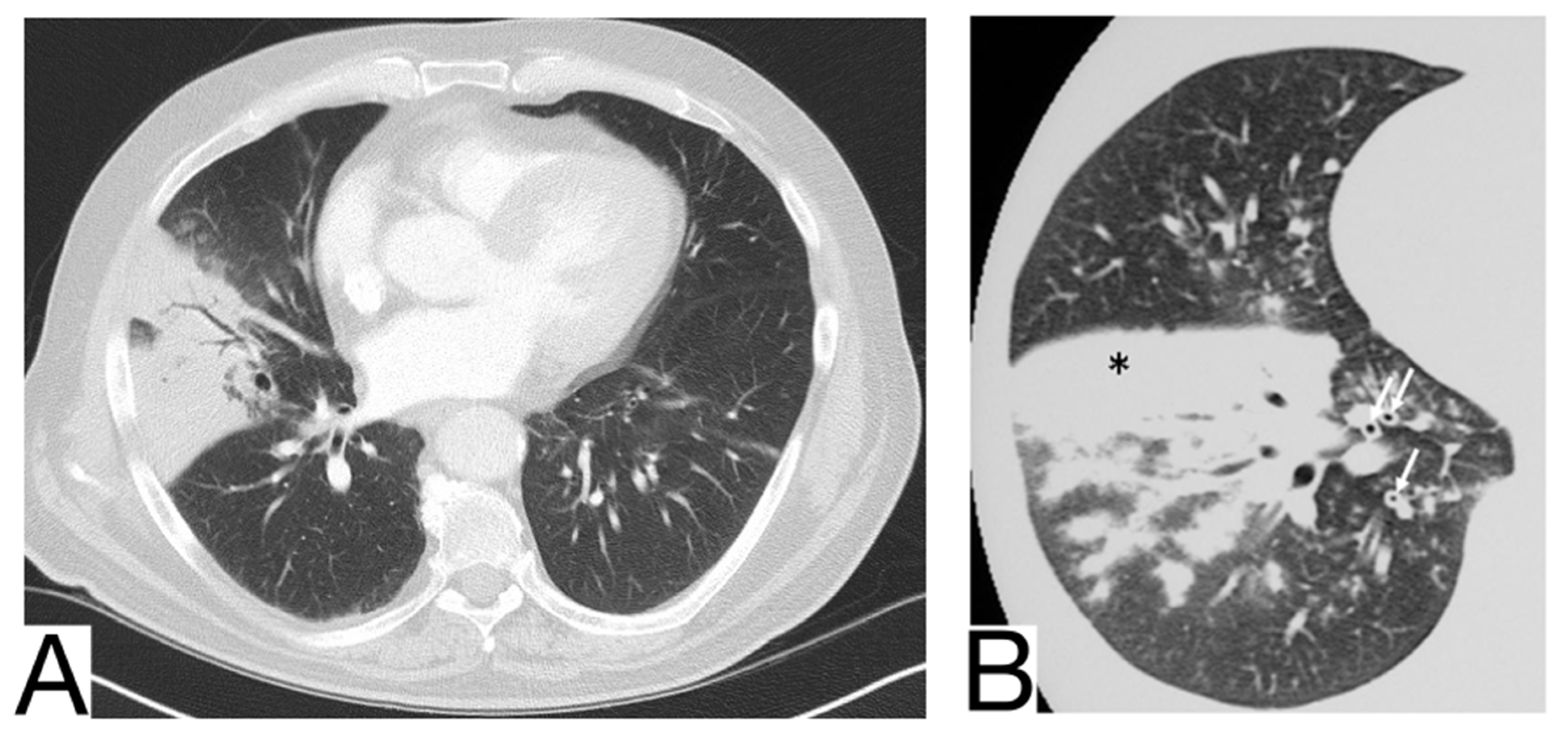 Diagnostics 12 02823 g005