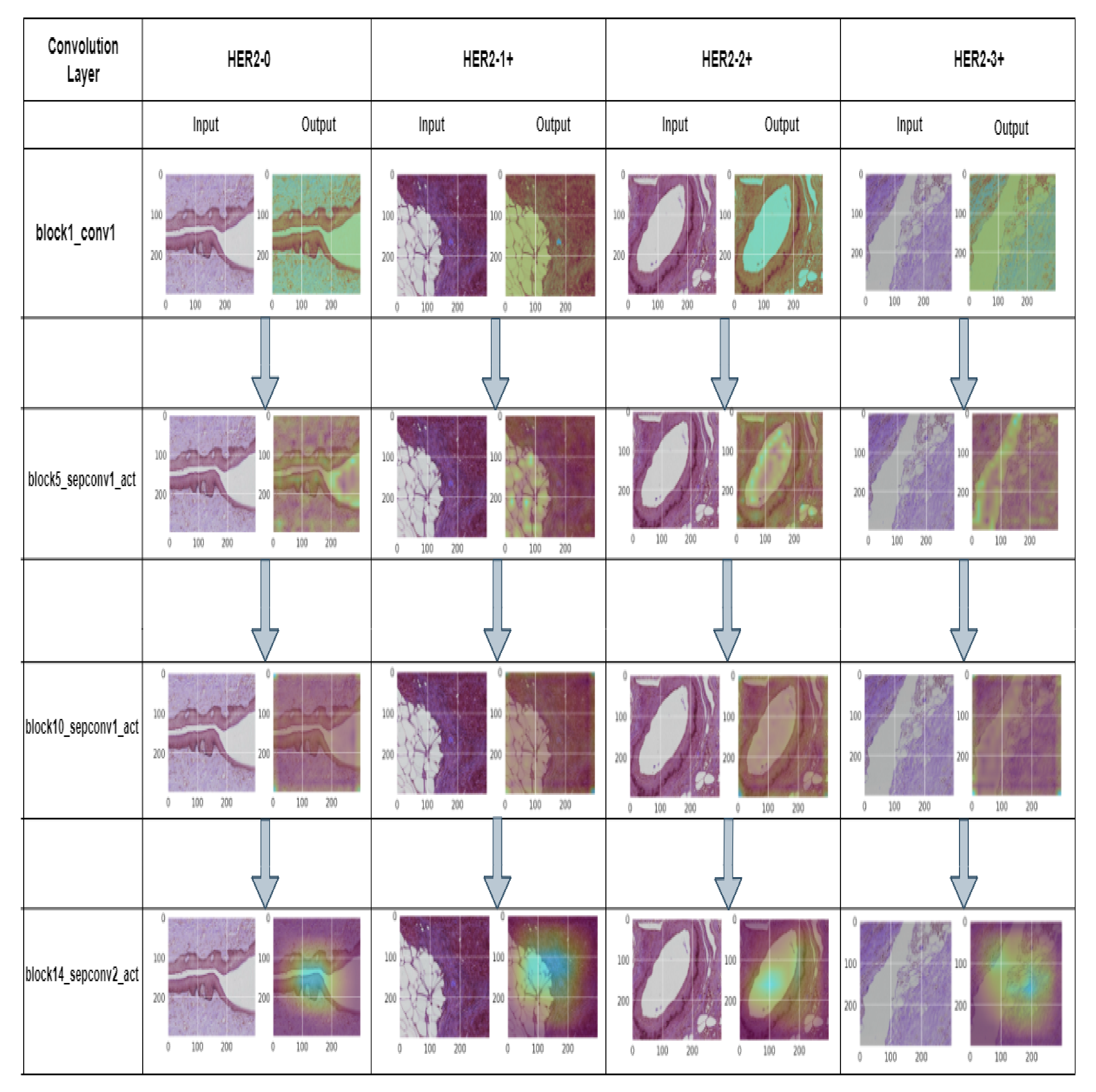 Diagnostics 12 02825 g010