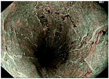 Diagnostics 12 02827 i002 Diagnostics 12 02827 i002